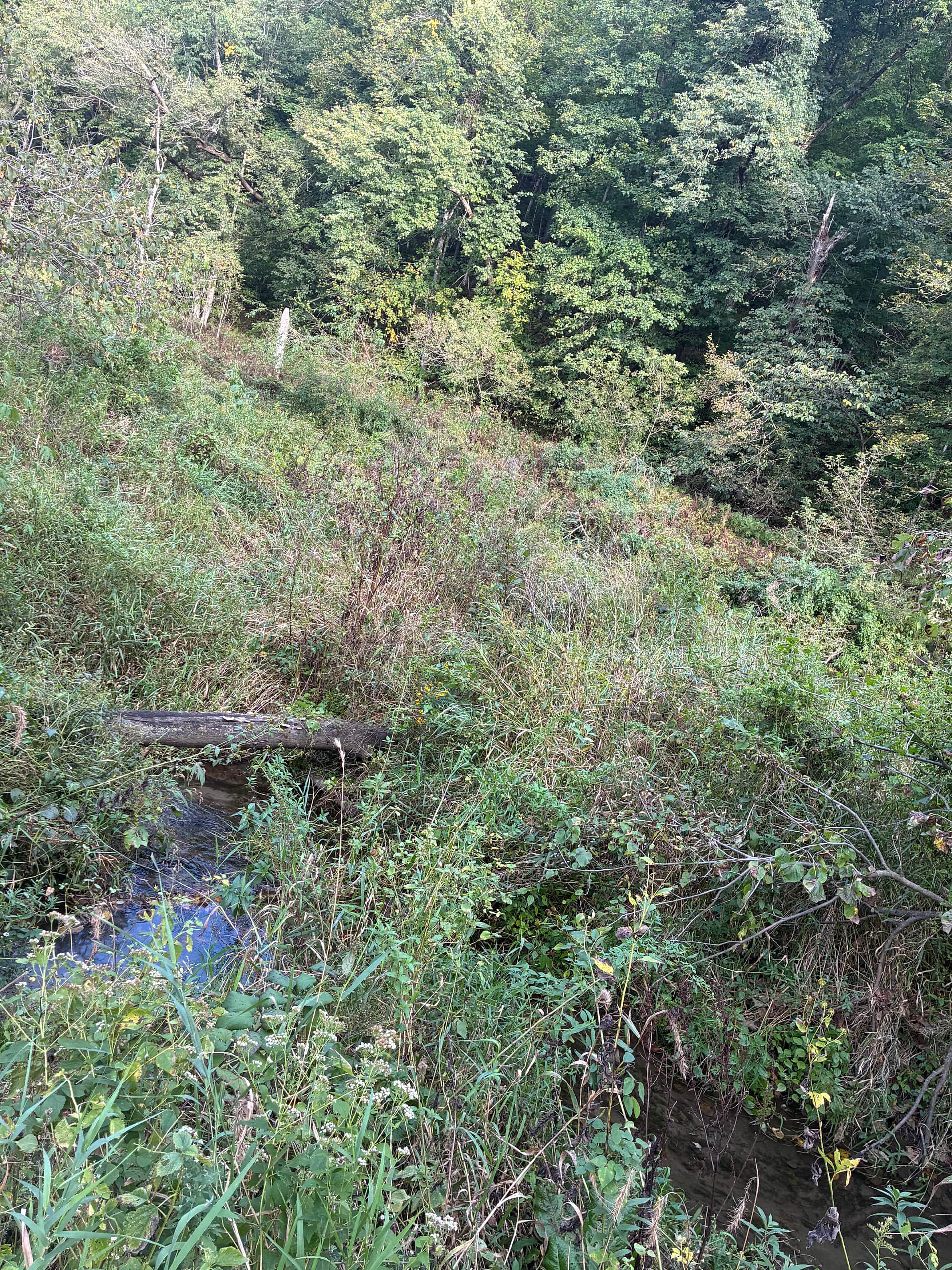 Loved the water source to scoop out to our site