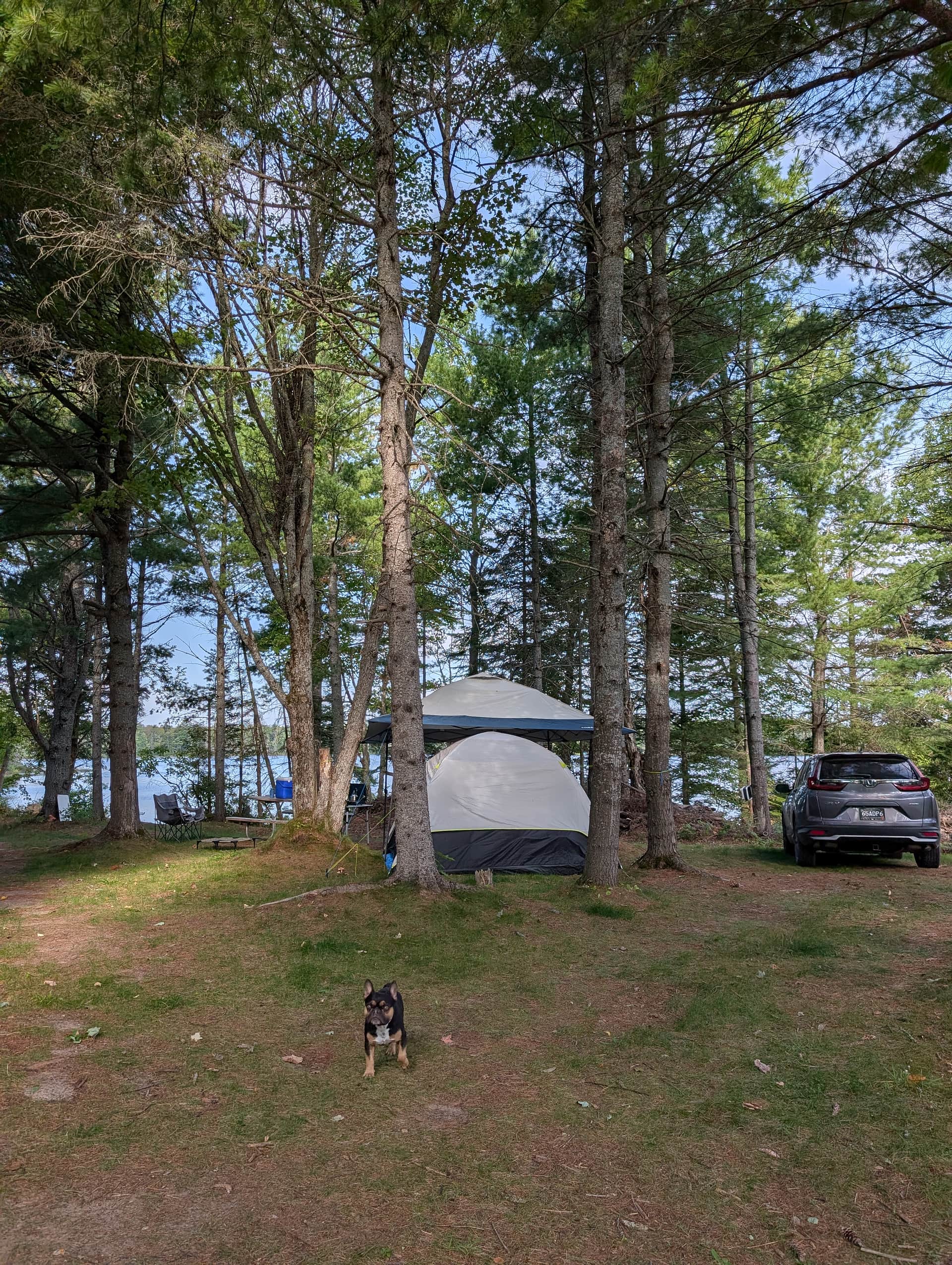 Gentle Breeze Camping