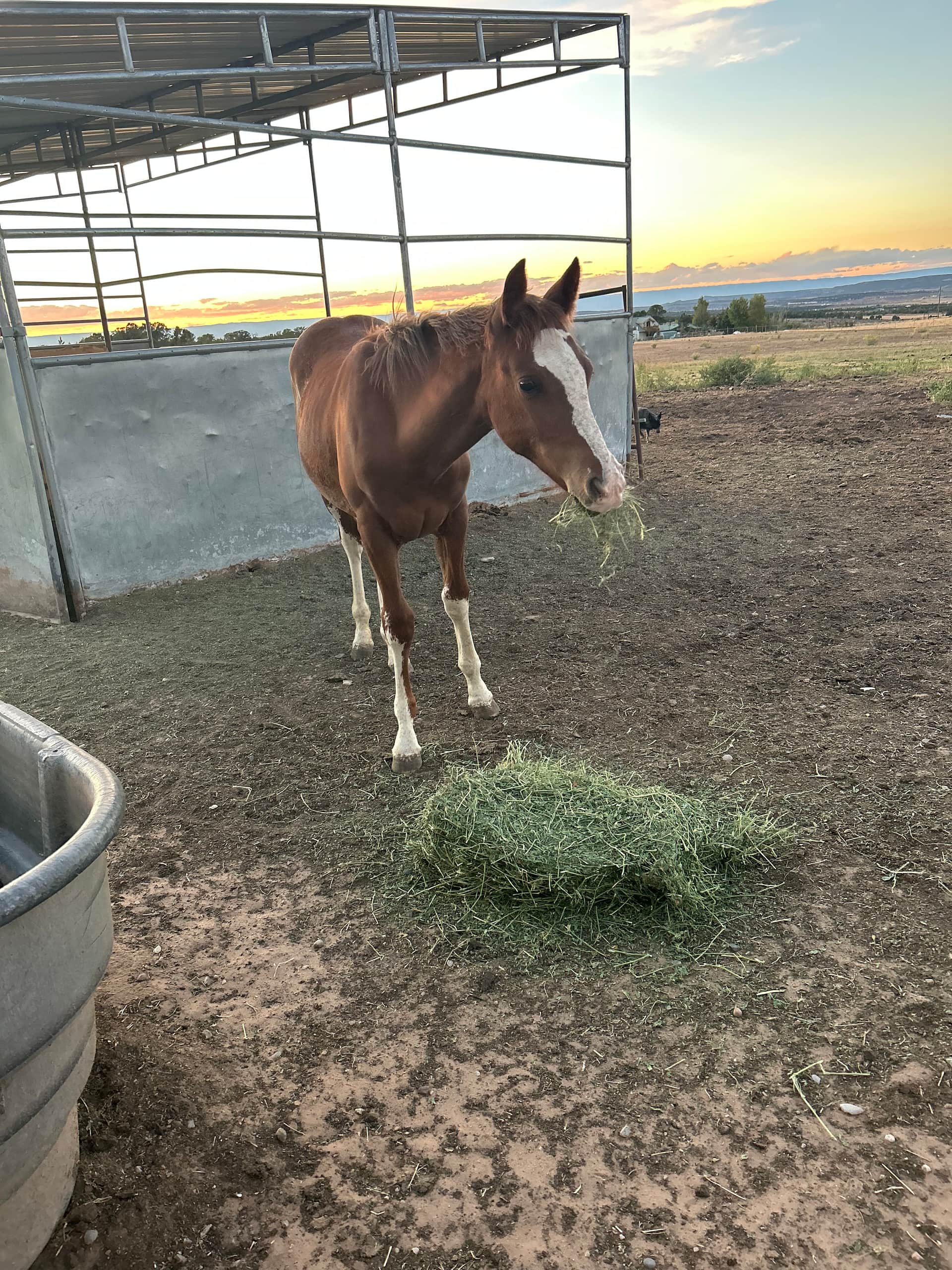 Stephens Ranch