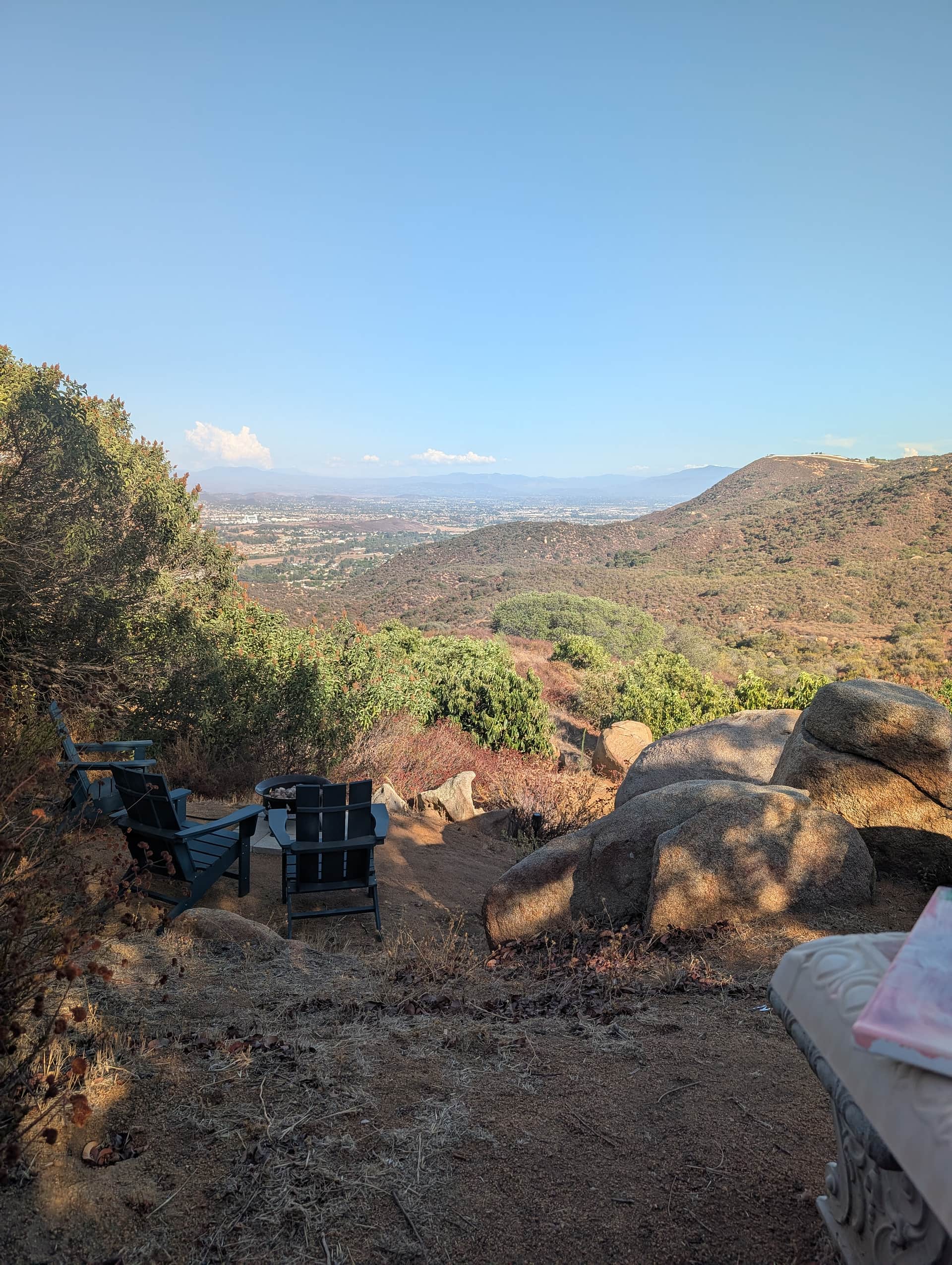 Zephyr Mountain Avocado Grove