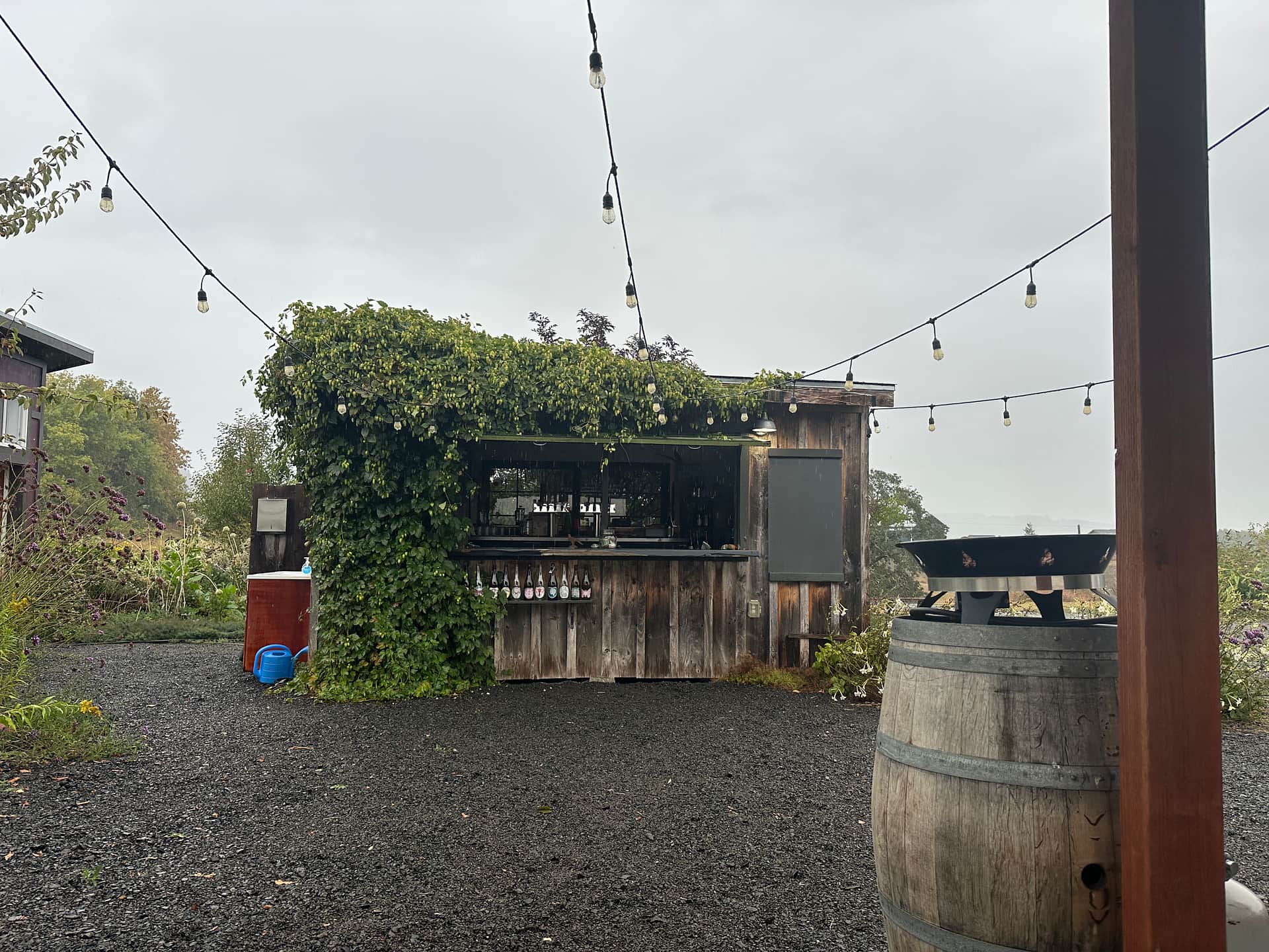 Roshambo ArtFarm