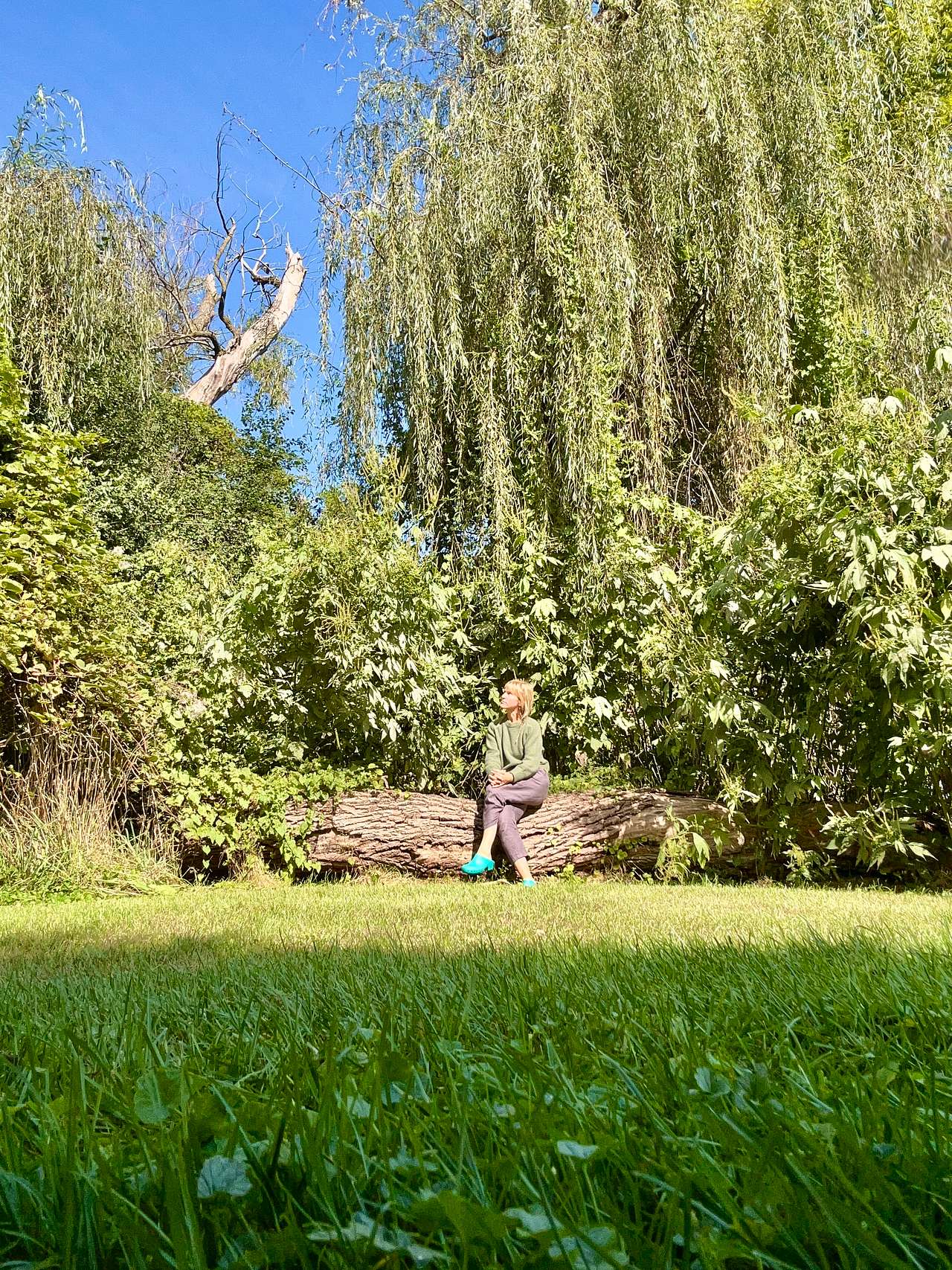 Escape to Nature