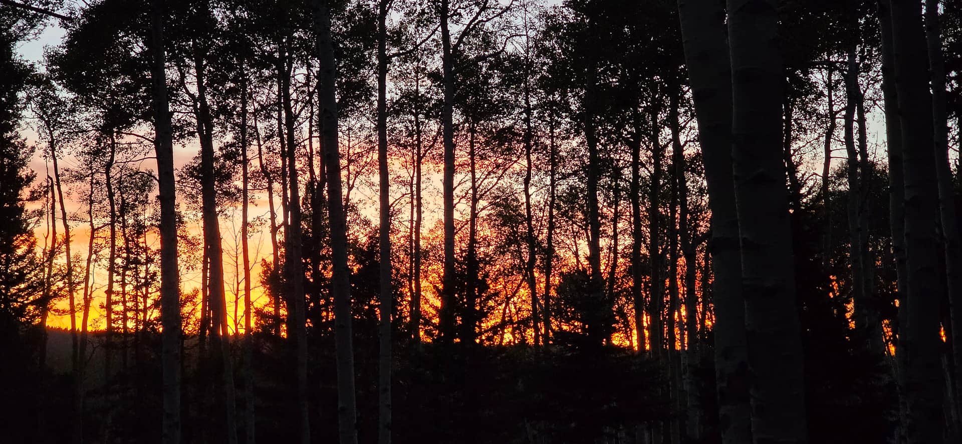 Darbywoods RV Mountain Lot