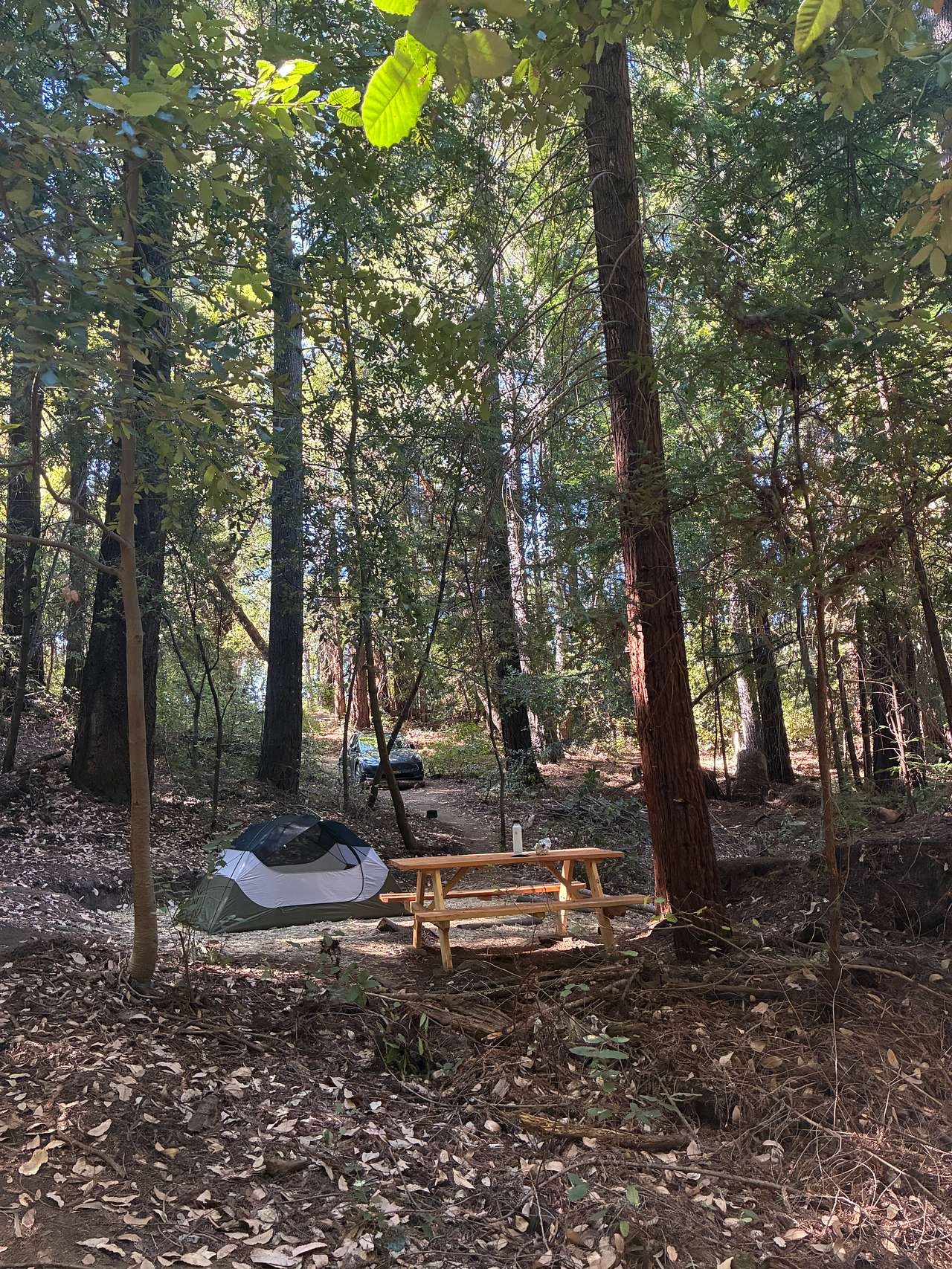 Sacred Earth Retreat (SER)