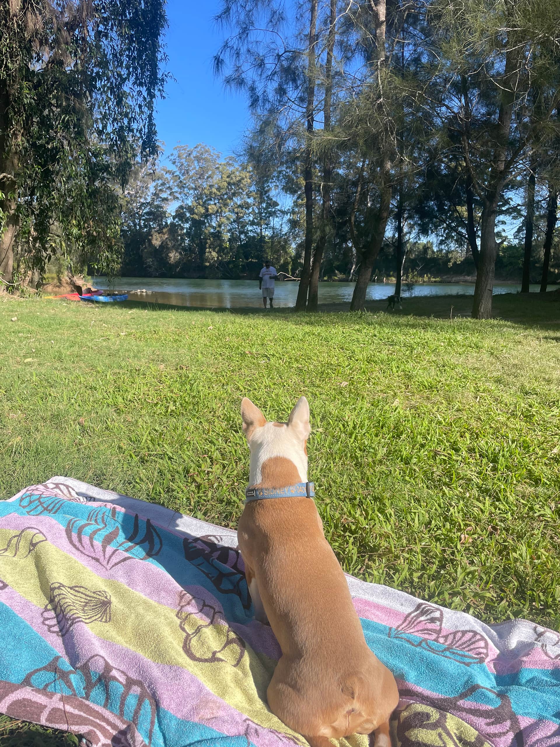 Riverlea Green,  Nambucca Valley