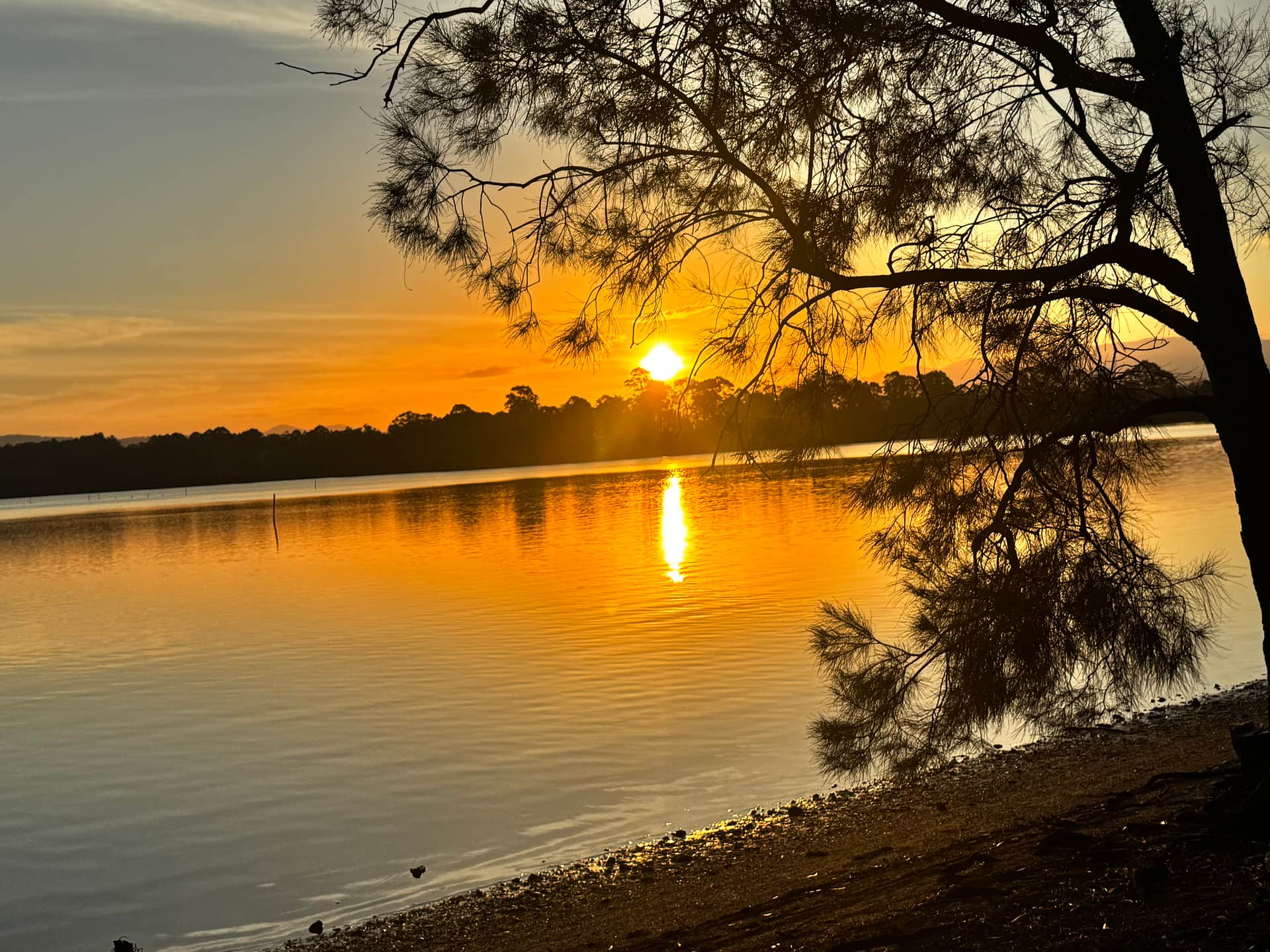 The sunsets 