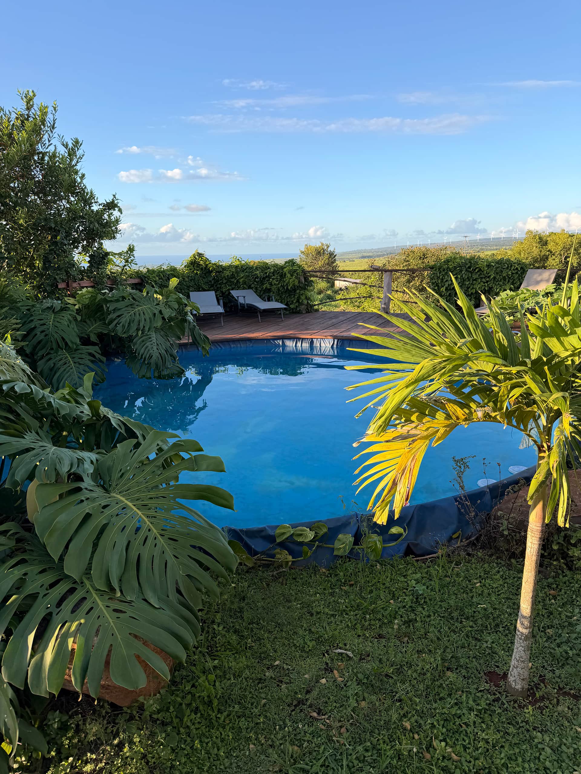 Living Circle Farms Hawaii