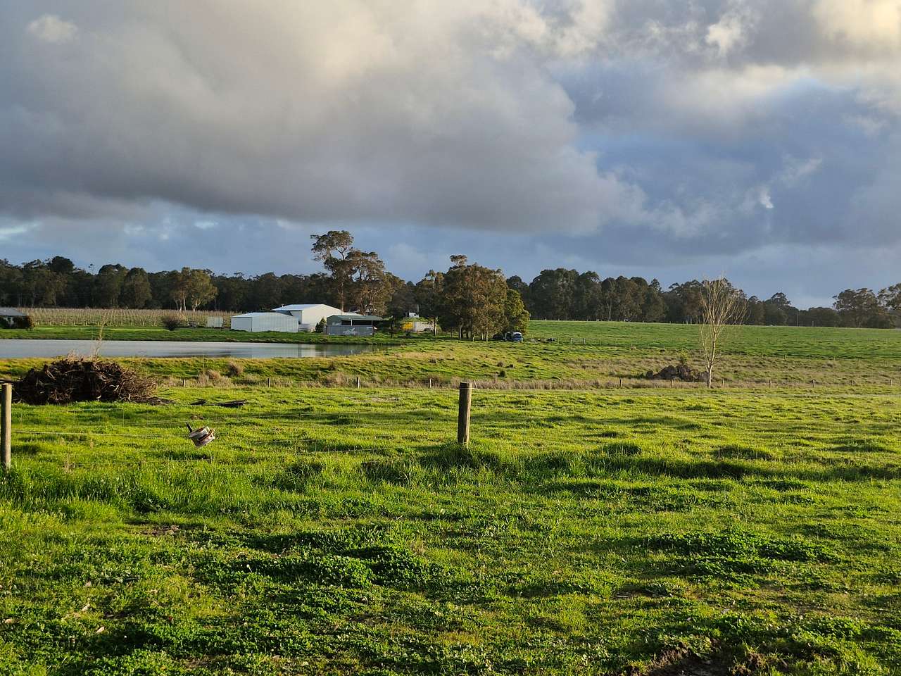 Jarvis Estate Winery & Camping