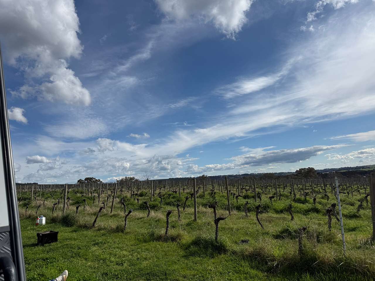 Cargo Road Wines