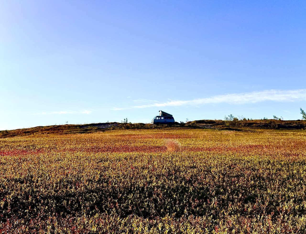 Magnificent View Blueberry Hilltop