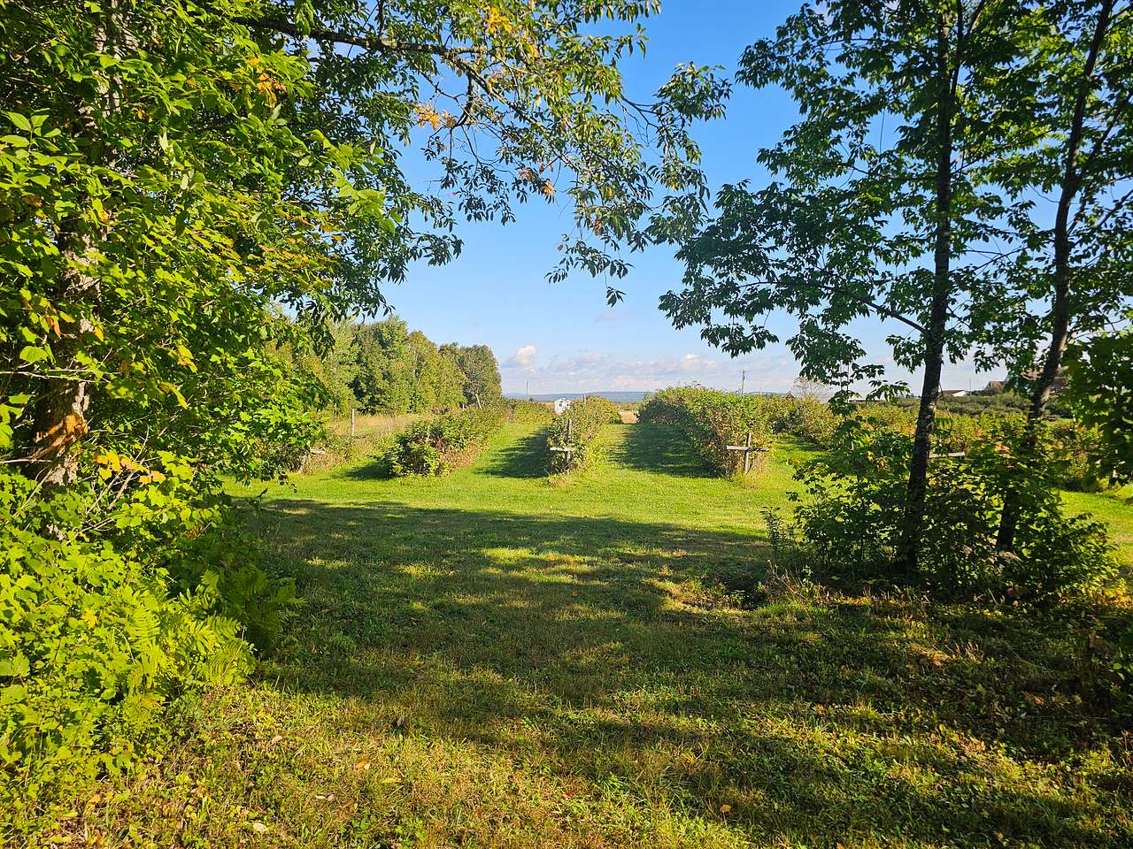 Sunnyside Family Farm Camping