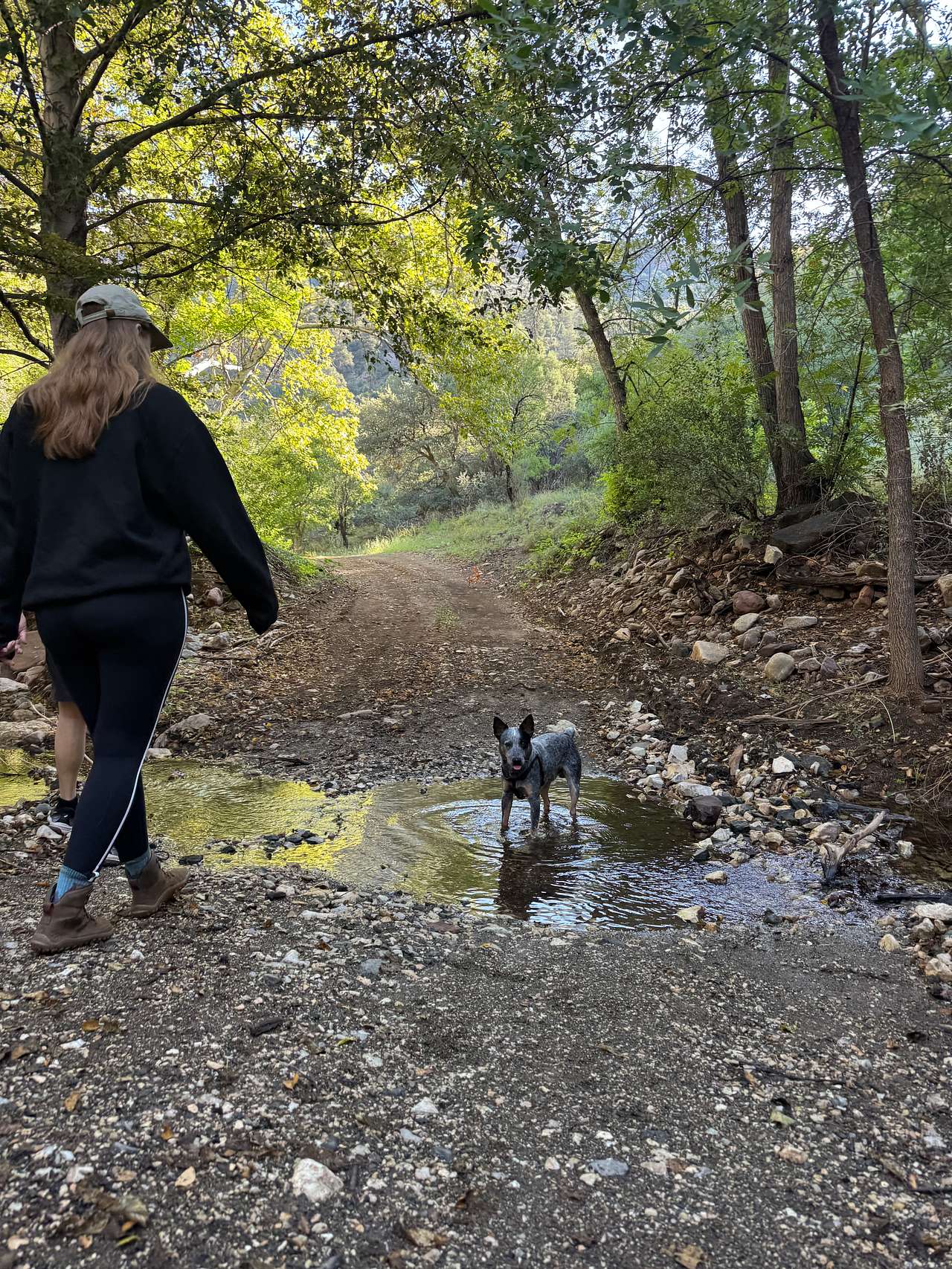 Ash Creek Canyon Preserve