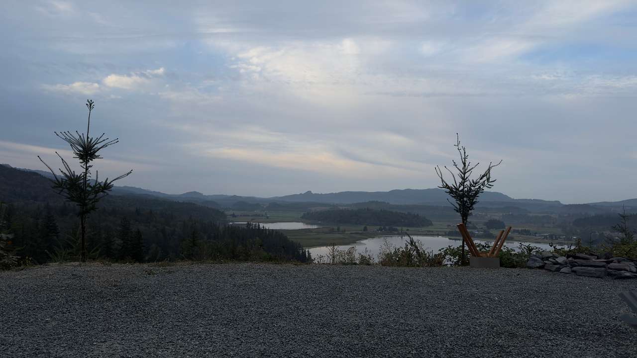 The Lookout