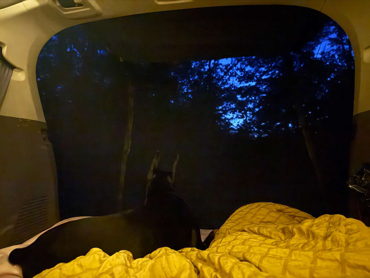 Dusk view from the mini camper van (it’s really just a Honda Odyssey but we are crafty 😅)