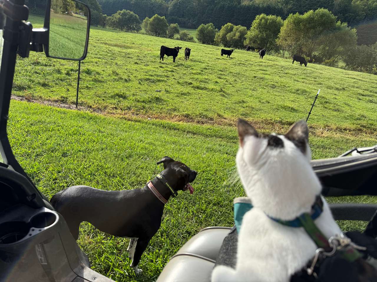 Blue Ridge Ranch