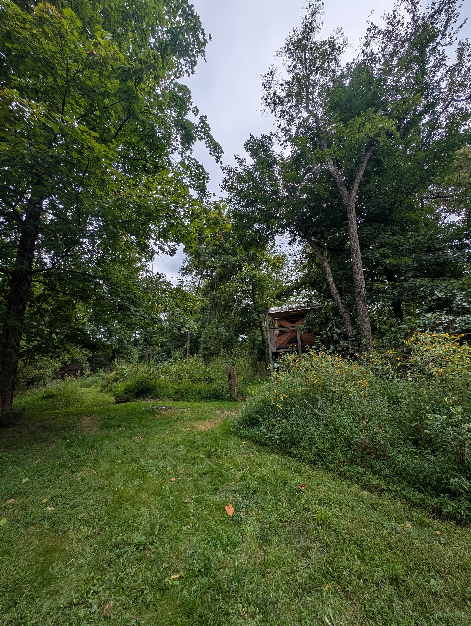 The Creekside at Goat Hill