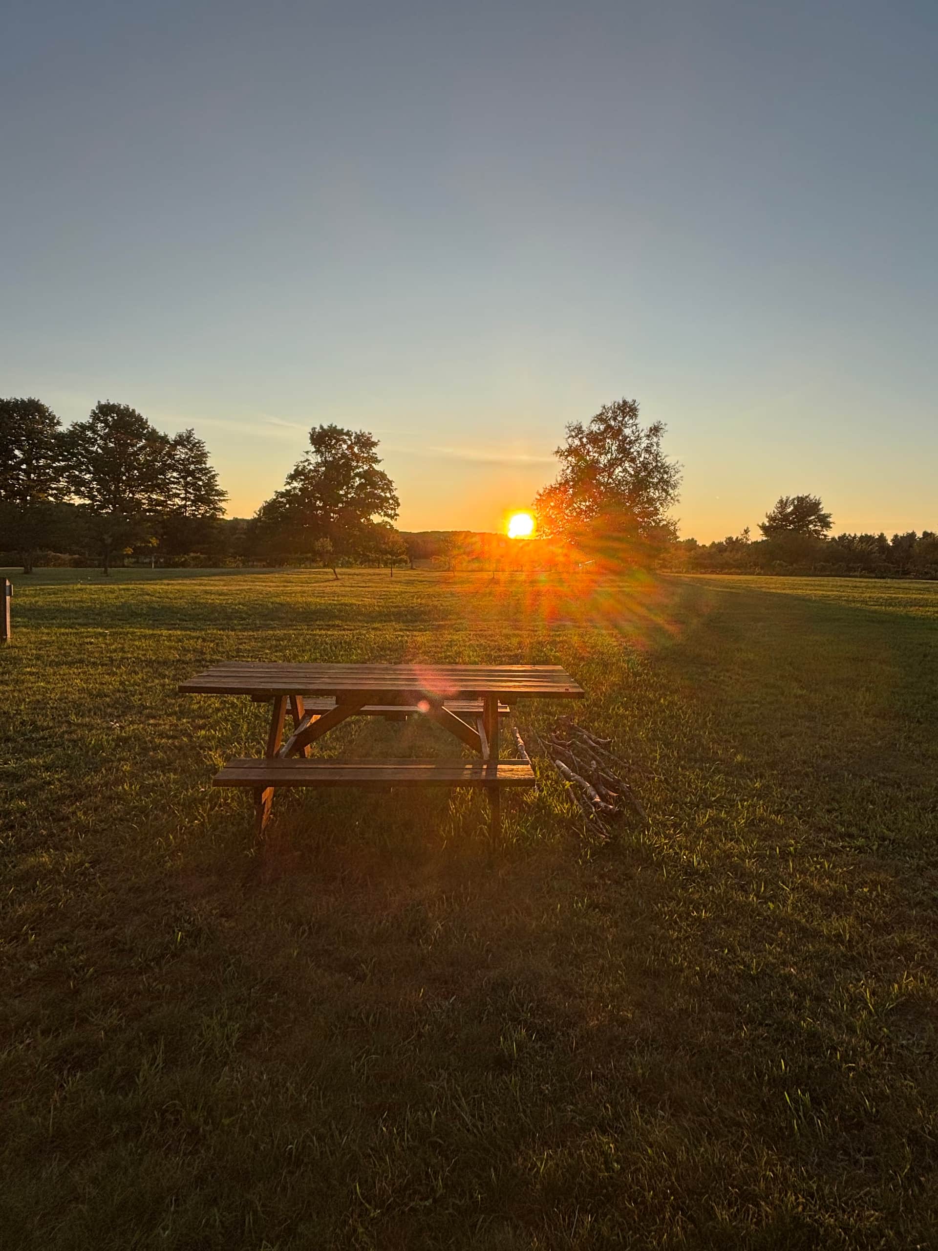 Blissfest Festival Farm