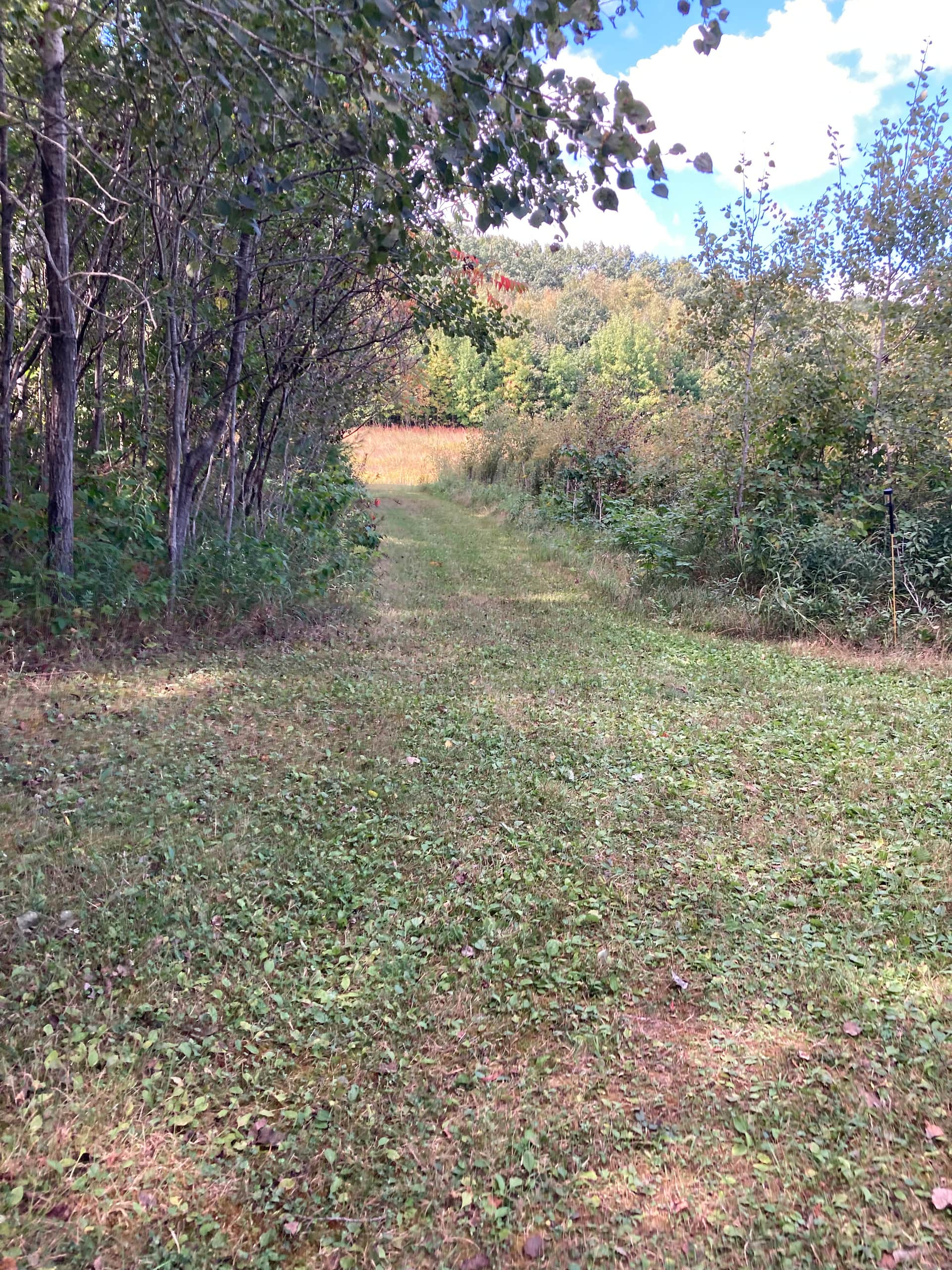 Trail