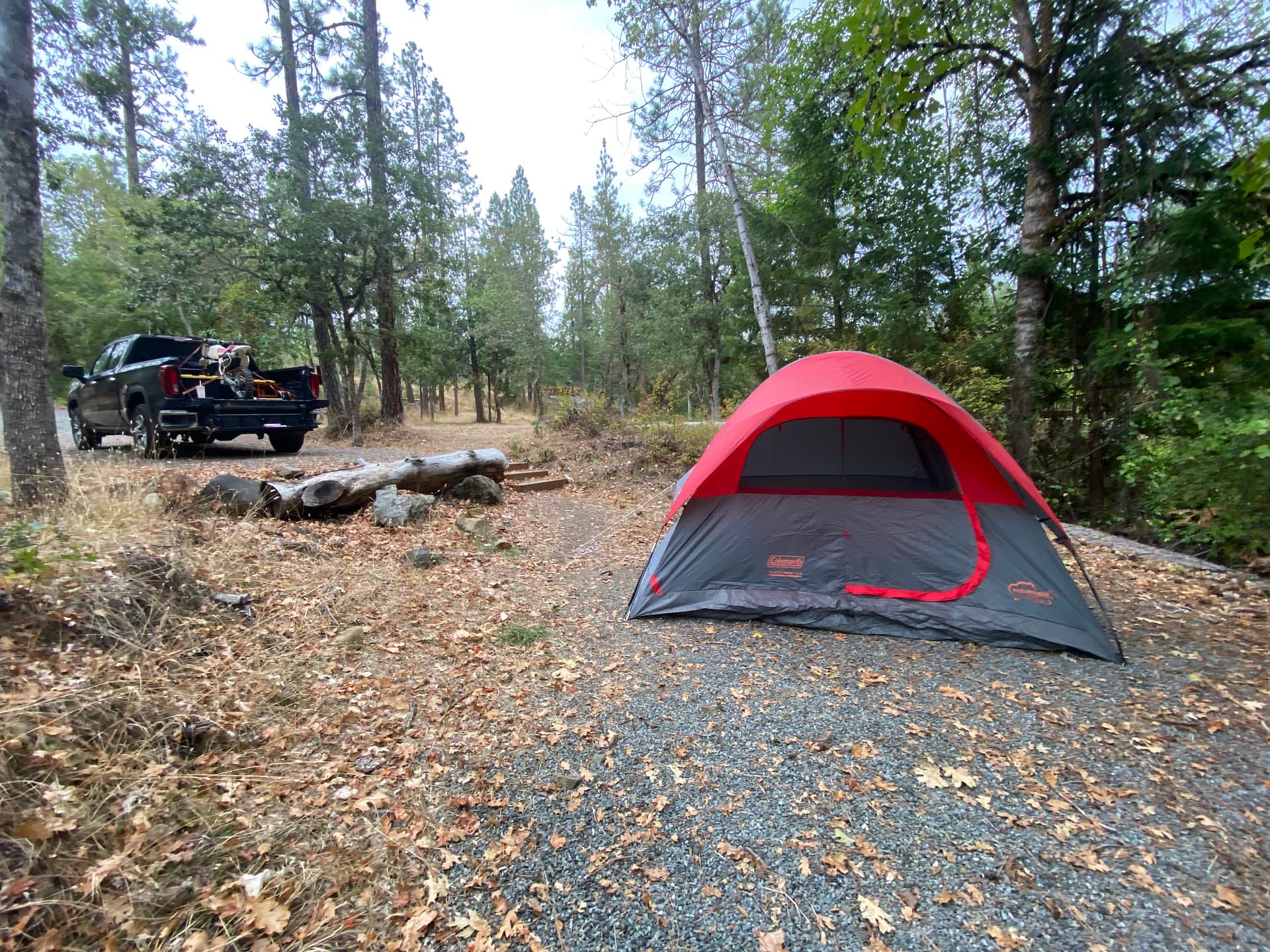 Forested creekside campsite