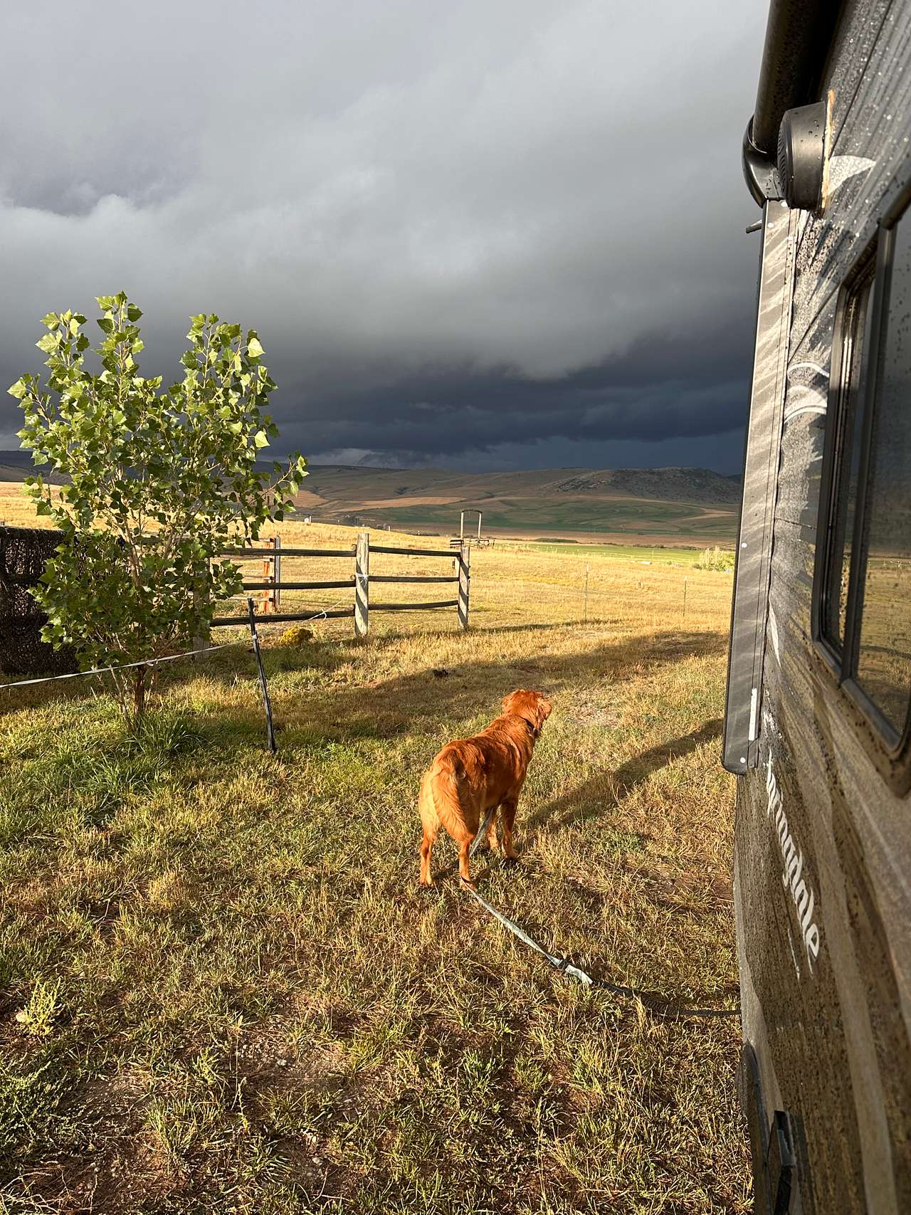 Morning after the thunderstorm 