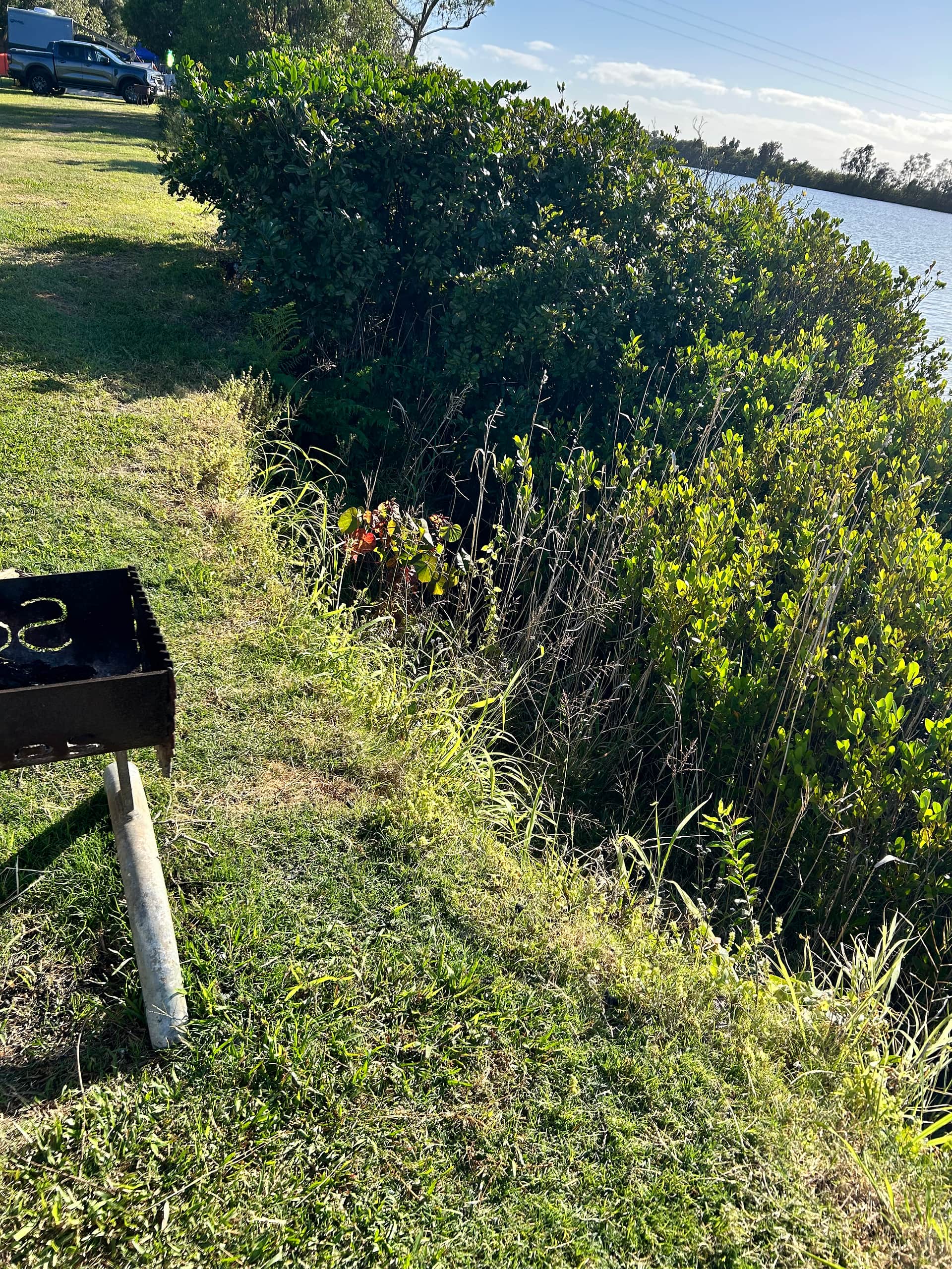 River Views - Ashby Island Paradise