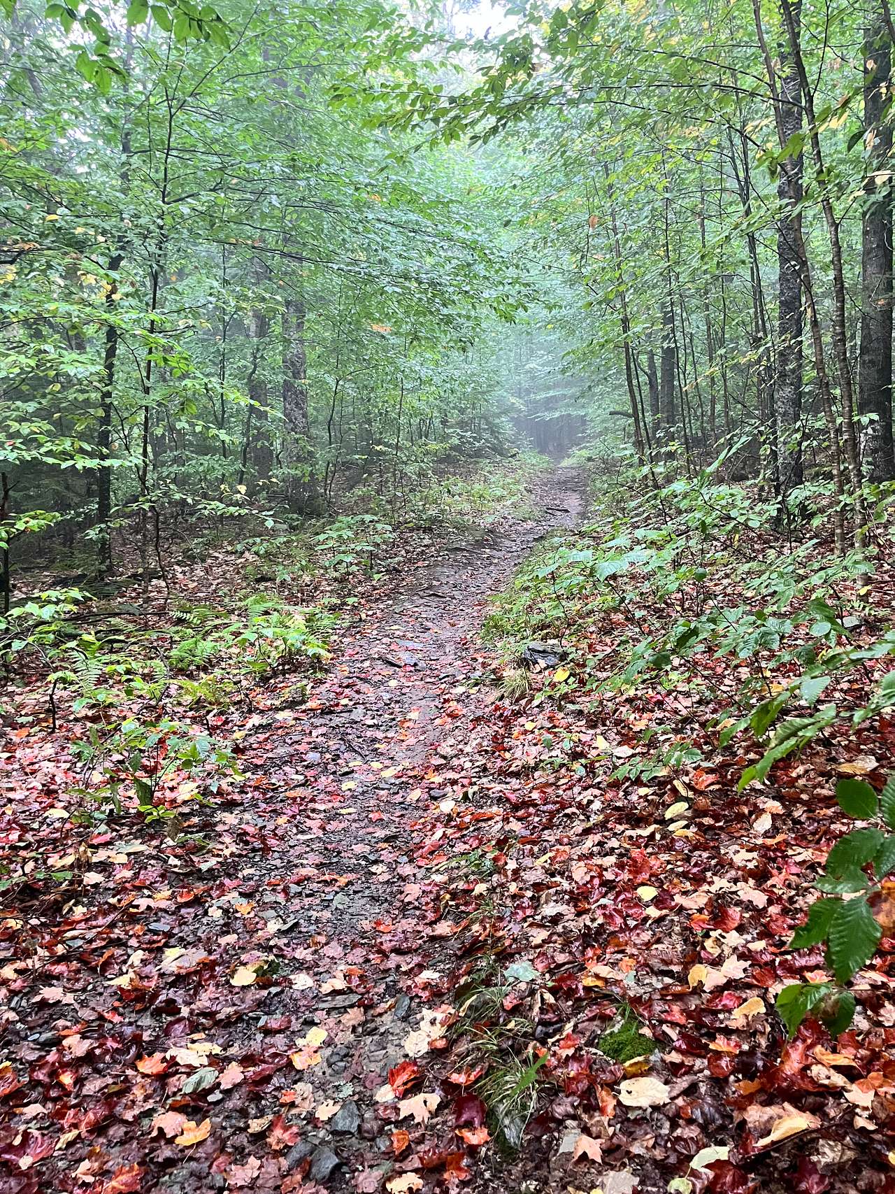 Rainy trek 