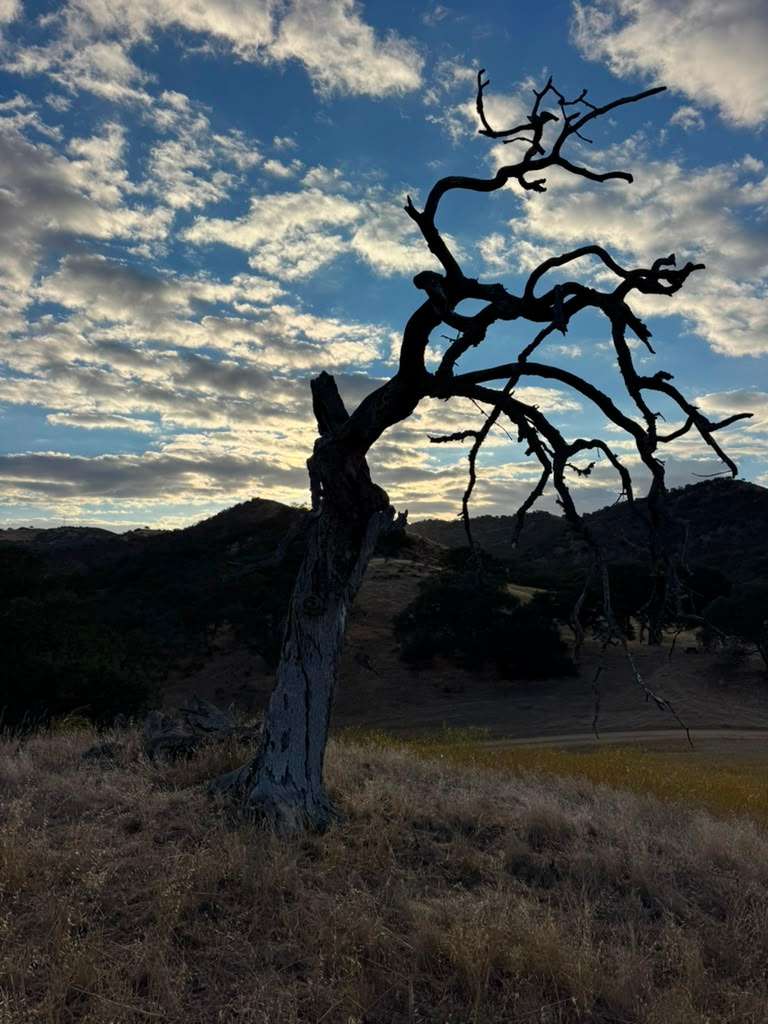 Song of the Ancients: Dark Sky Camping Near Pinnacles
