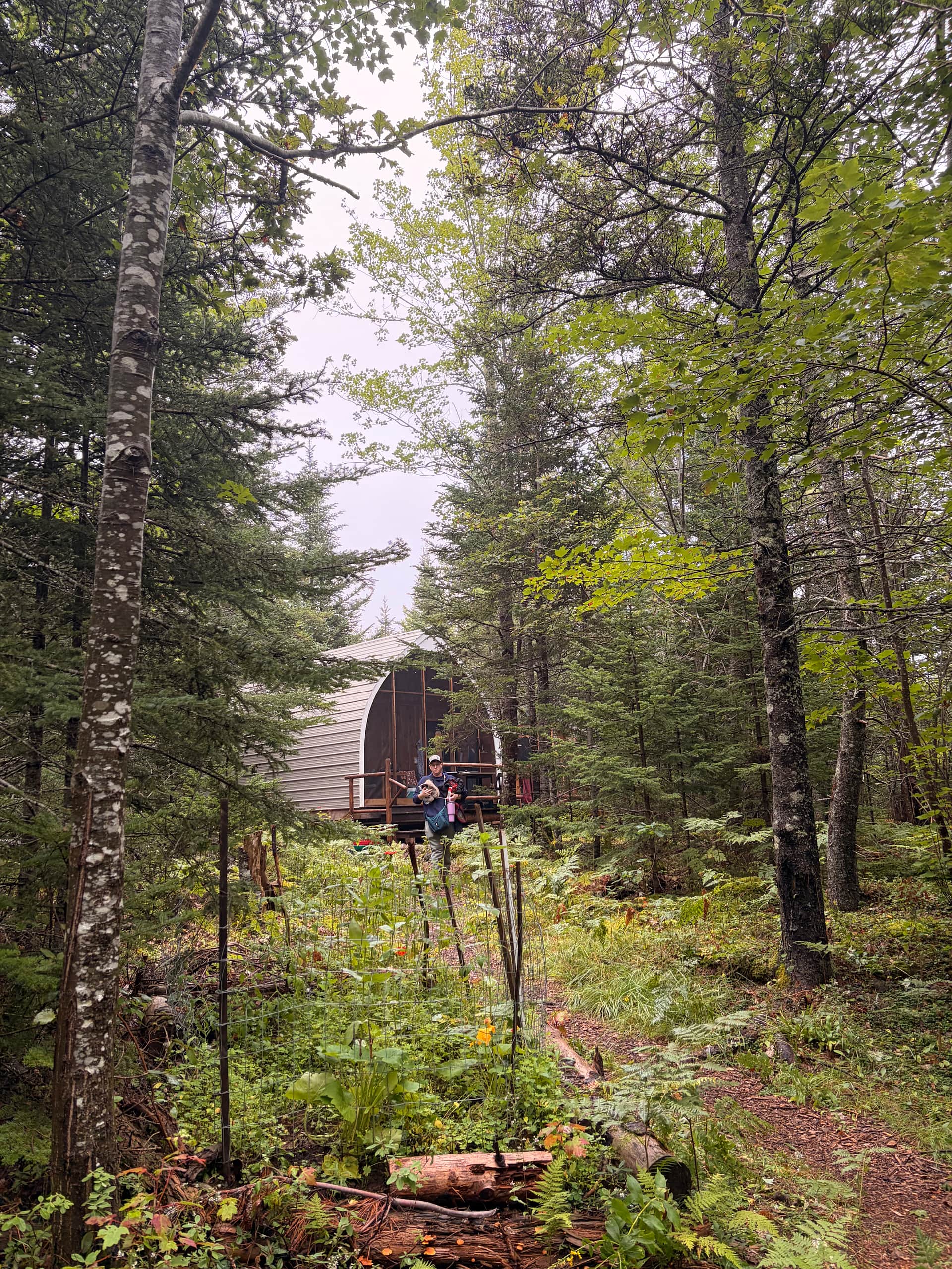 Moss Cottage Forest Glamping