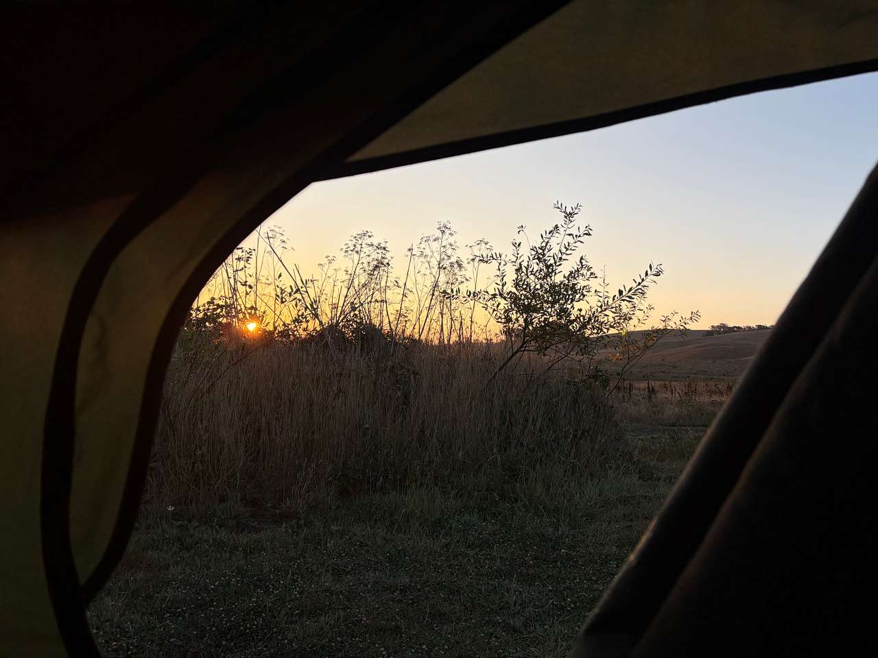 Estero San Antonio Wonderland