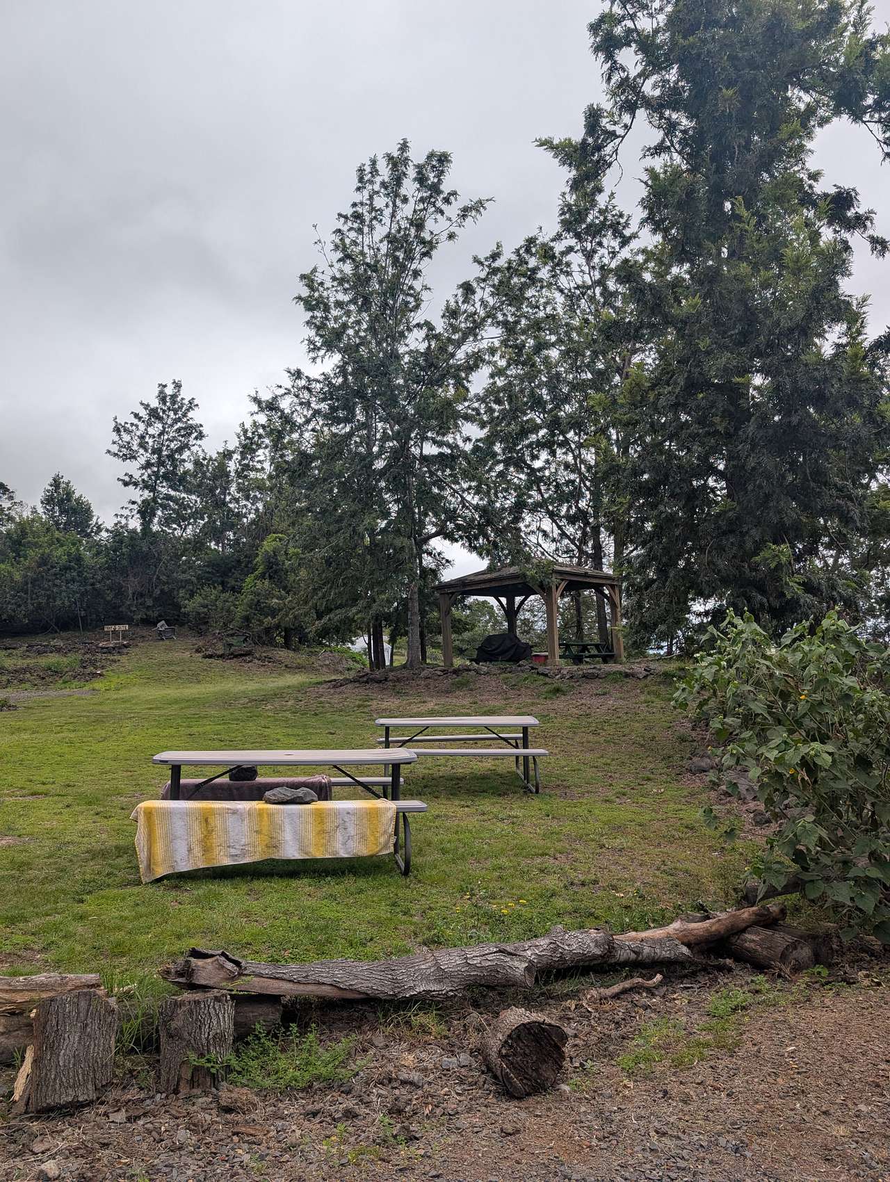 Picnic tables and grilling area