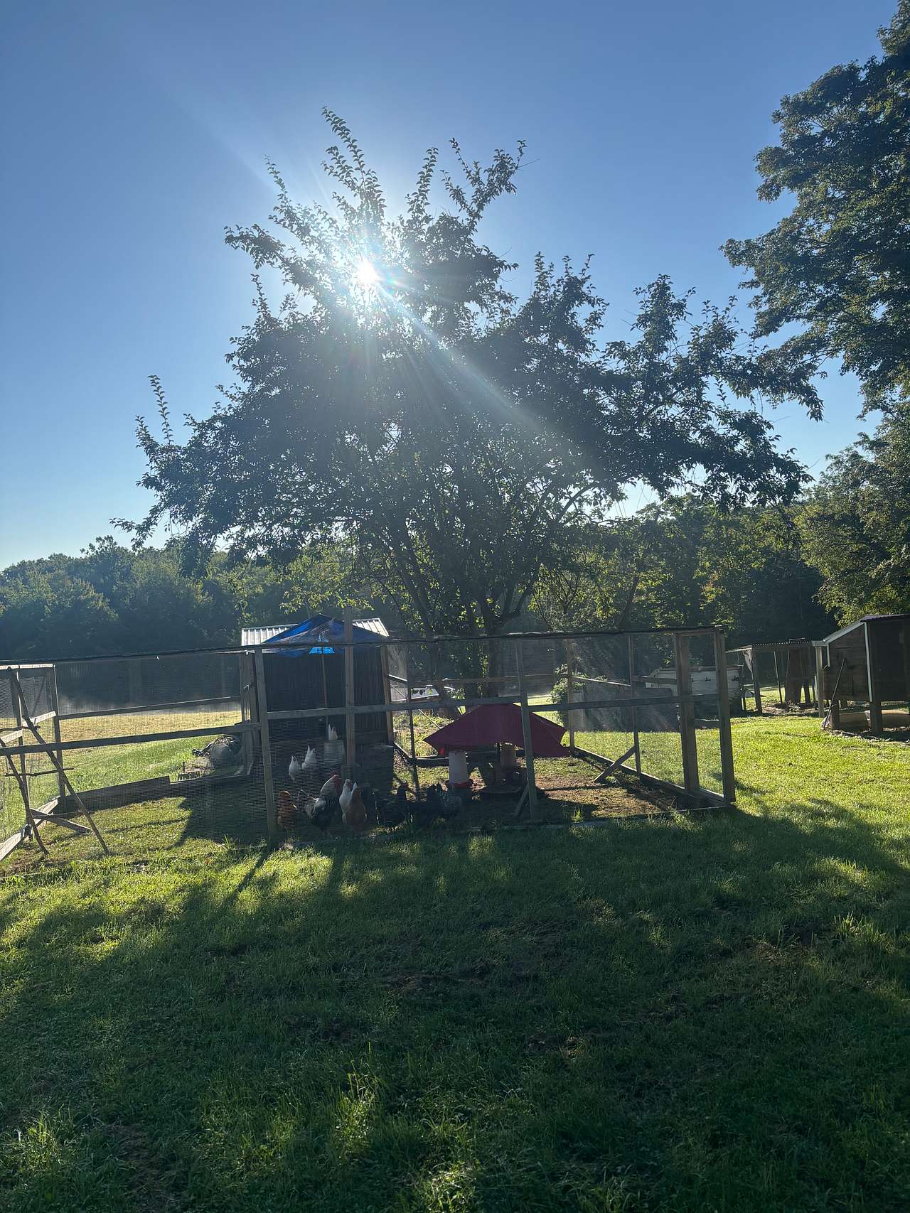 Greener Pastures Camp