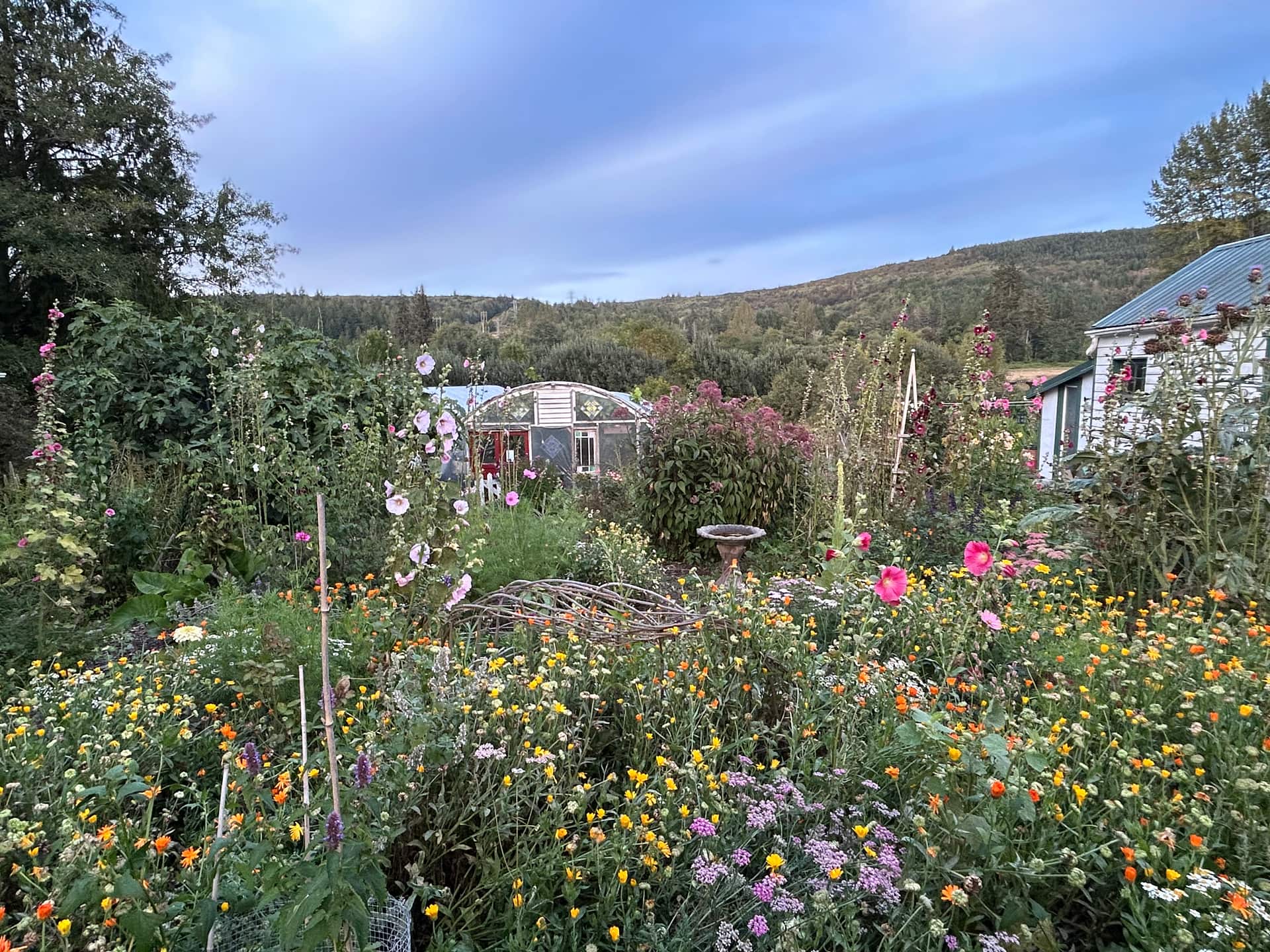 Compass Rose Farms