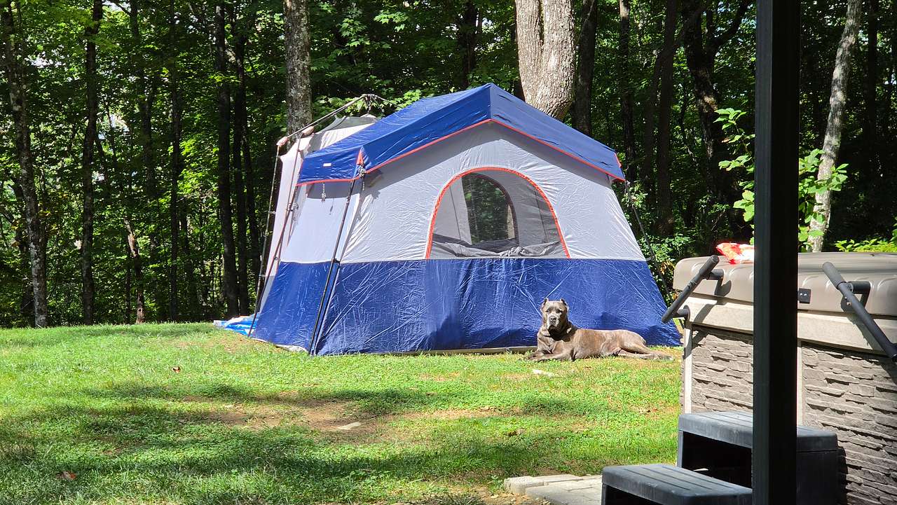 Nice, flat, wide-open campsite