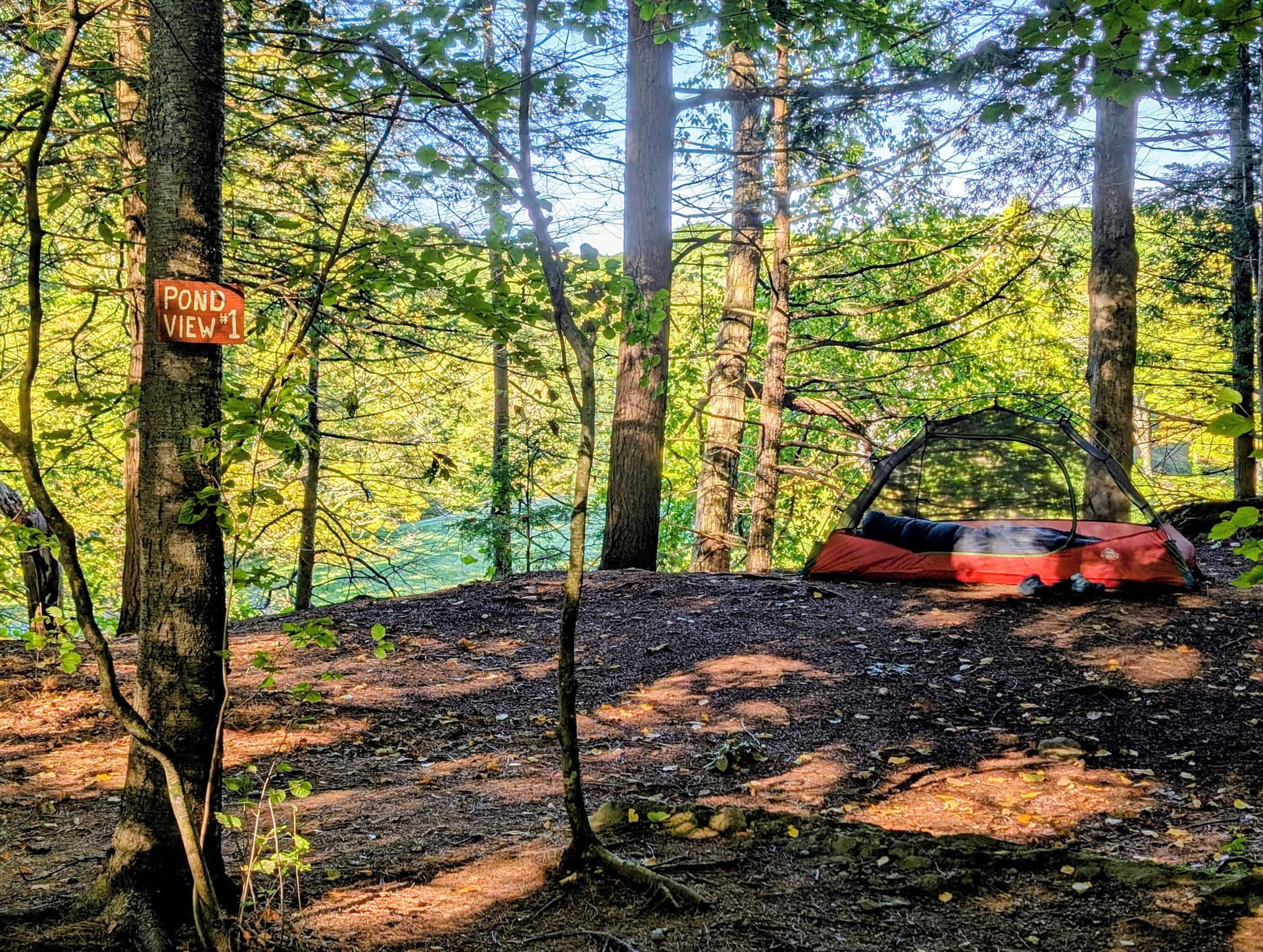Maple Ridge Farm
