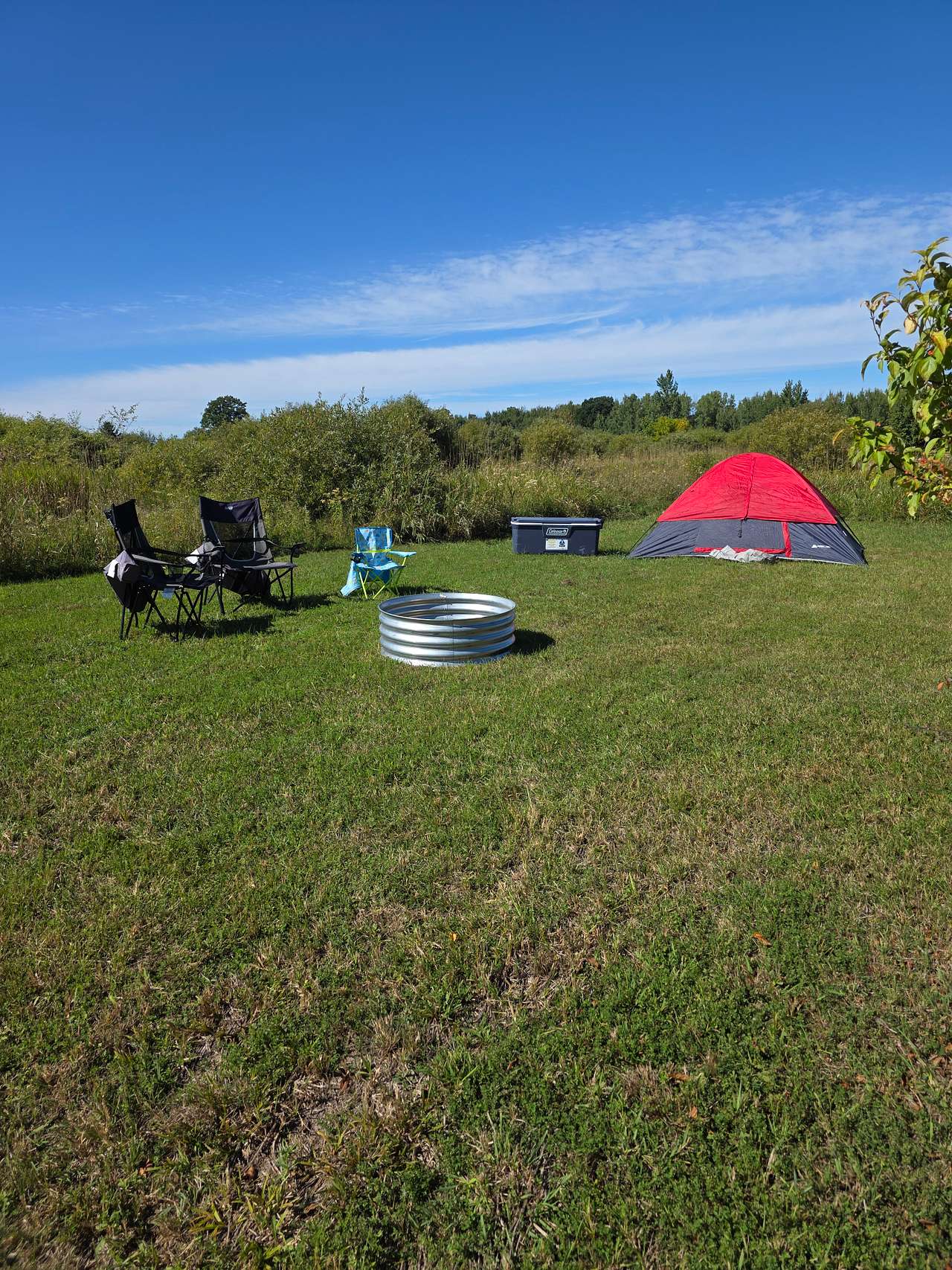 Picture of the site