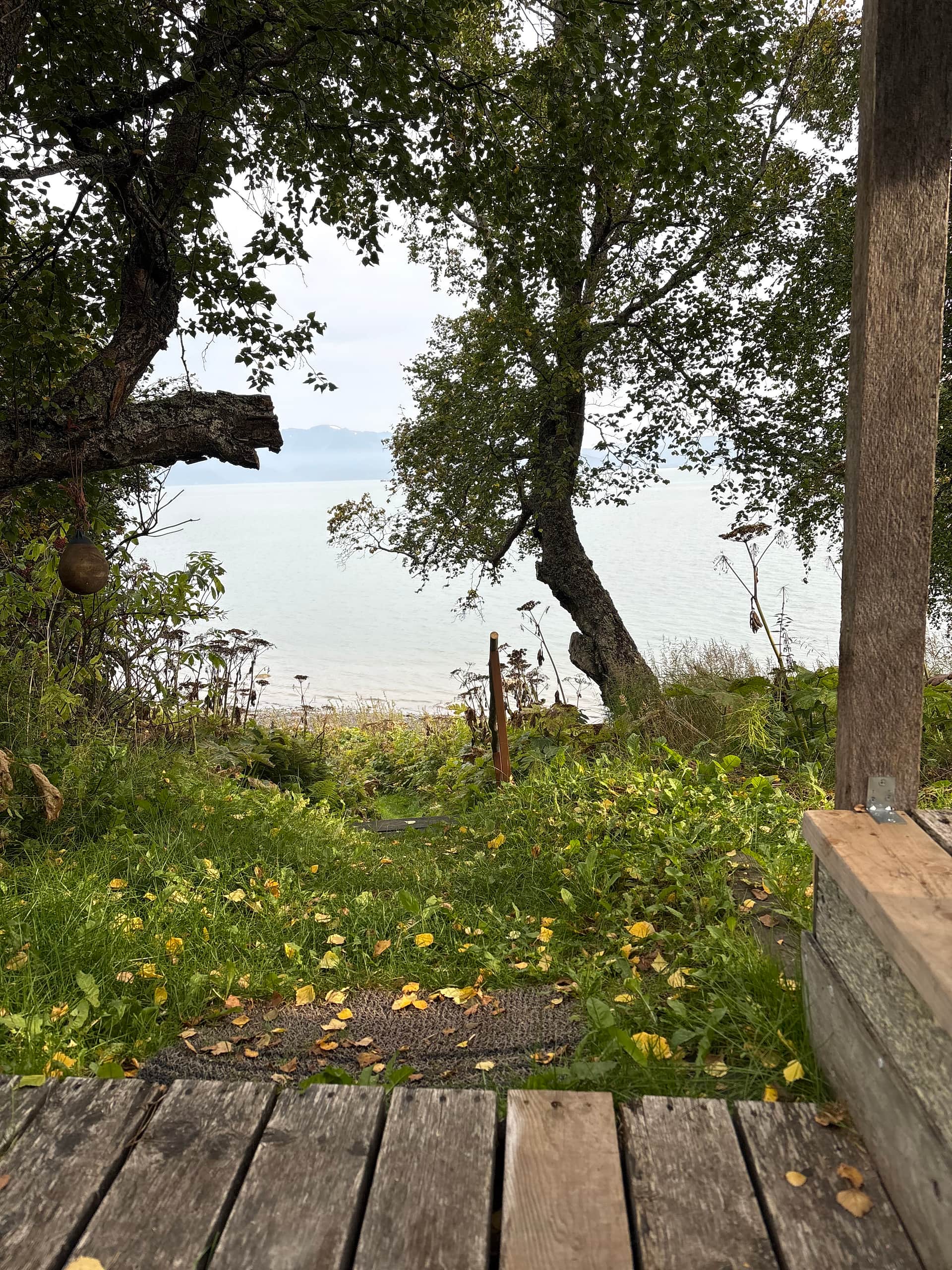 The view from the porch