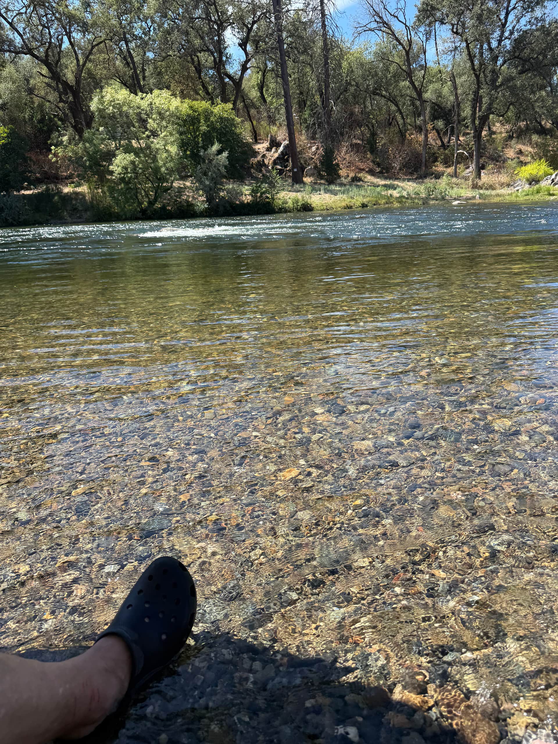 Manzanita Camping & Co