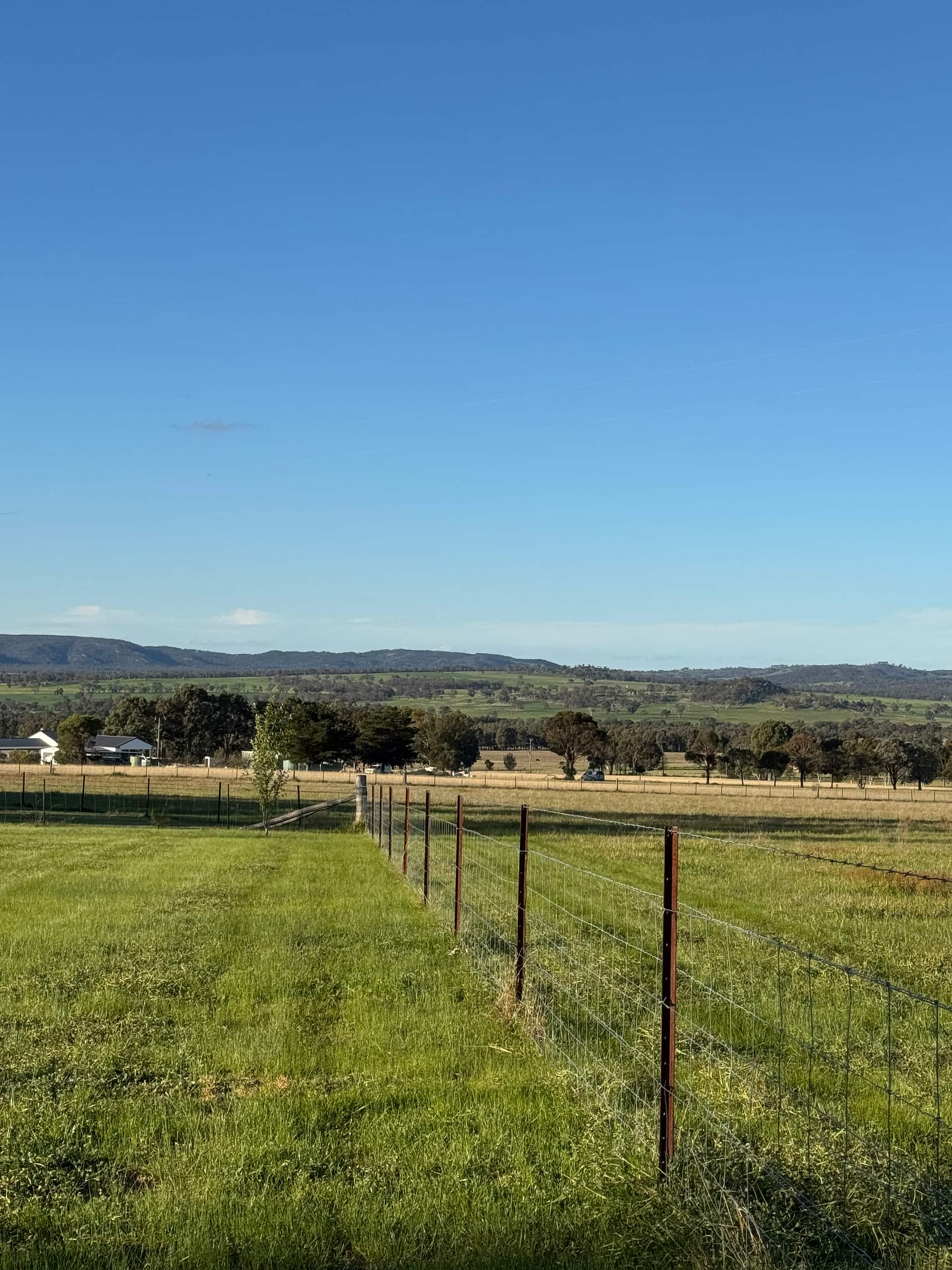 Romanche Gap Mudgee