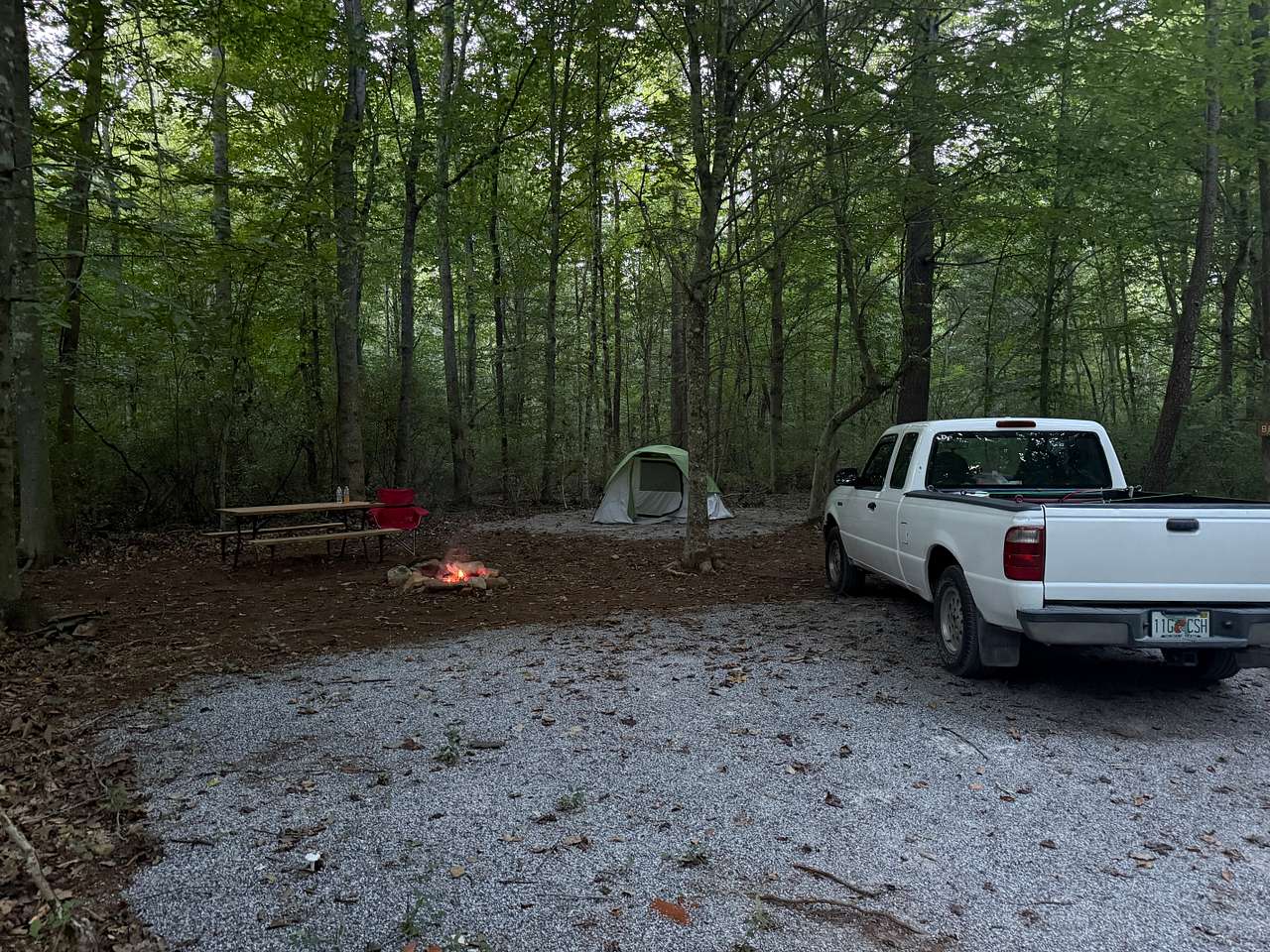 Picture of the site