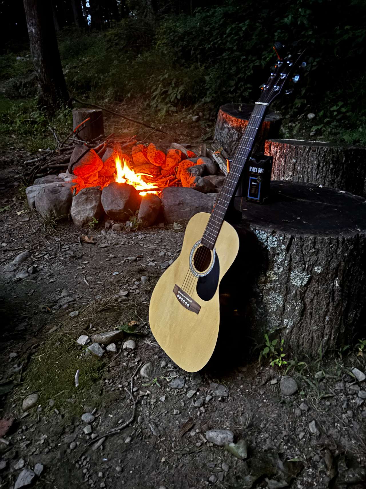 Peace And Quiet  in the Catskills