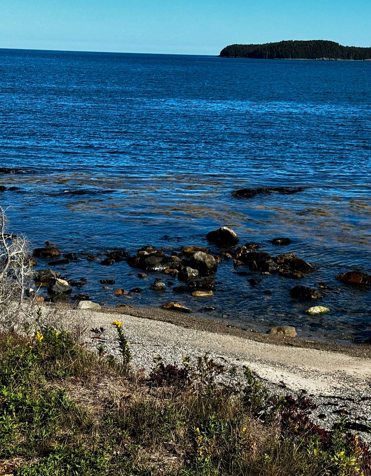 Searenity Beachfront Land Off Grid