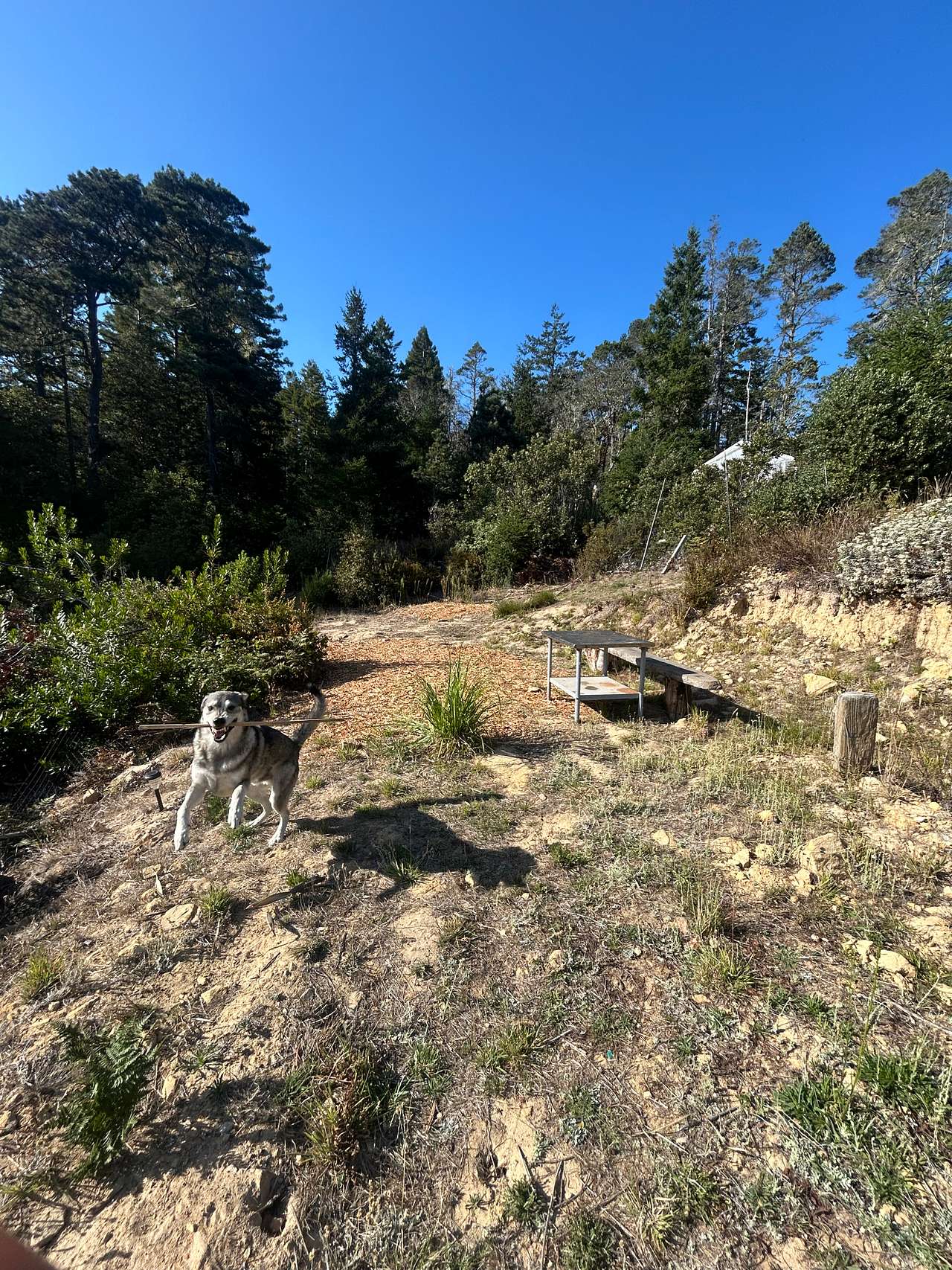 Picture of the site