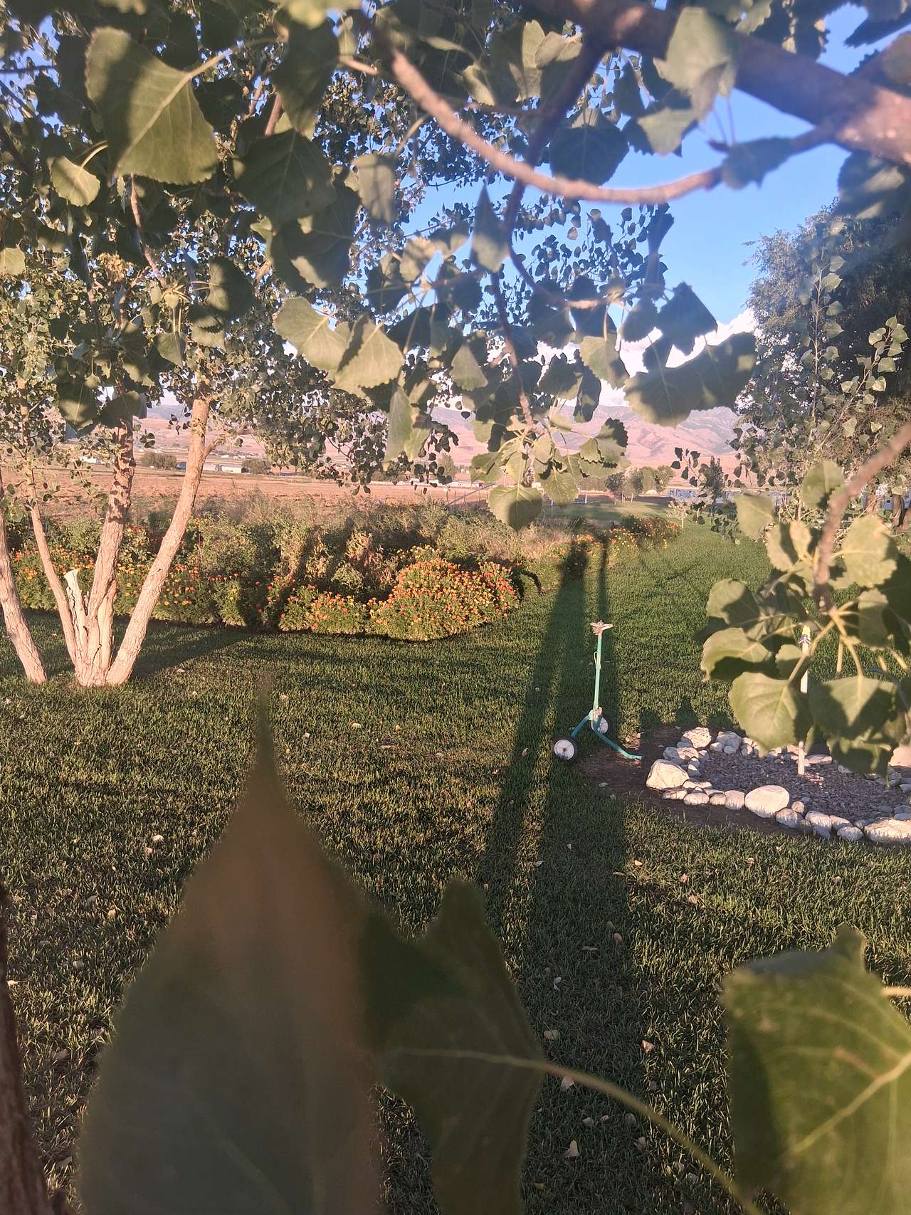 Rosebud Ranch