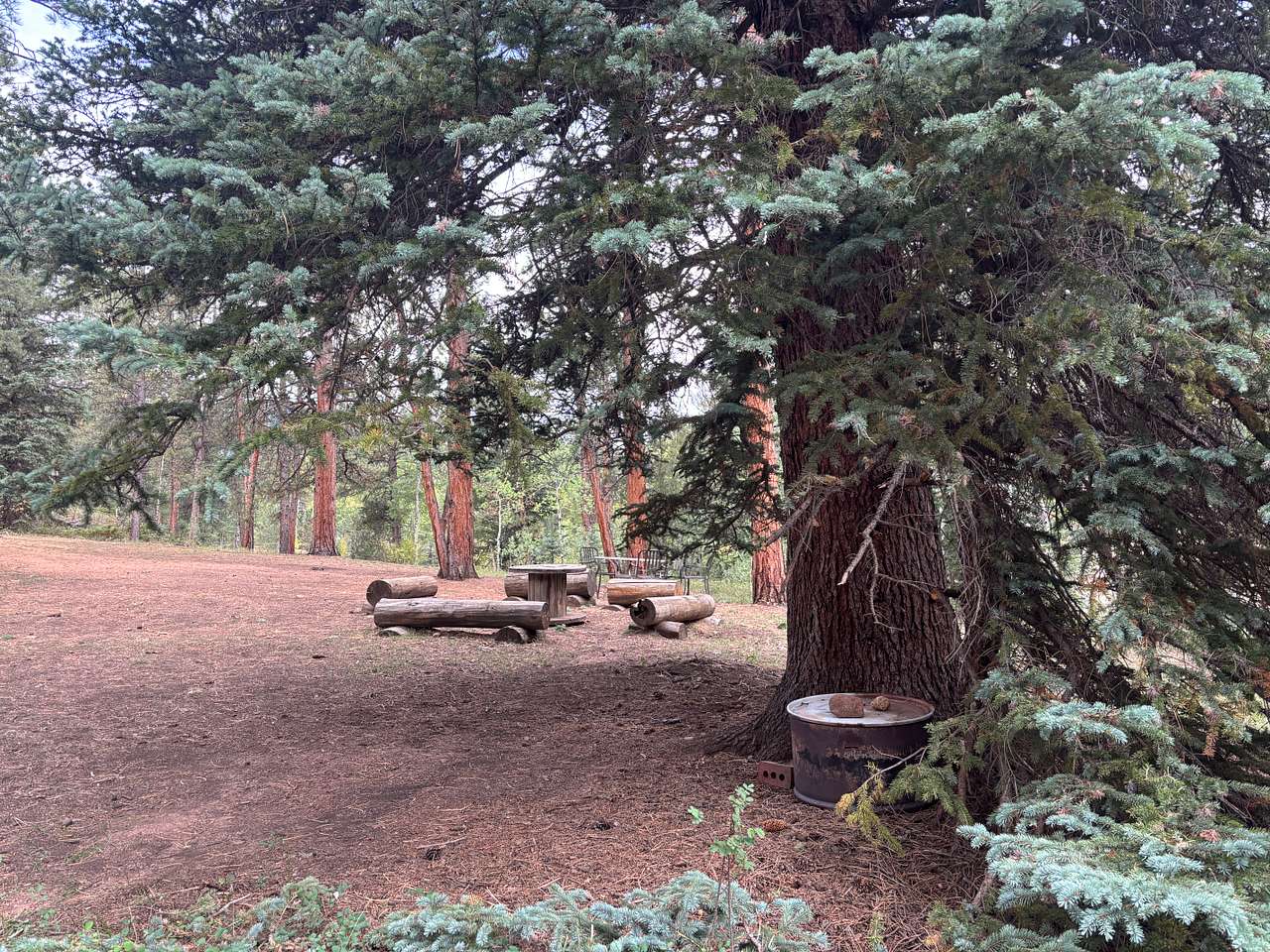 Rustic Creek Ranch