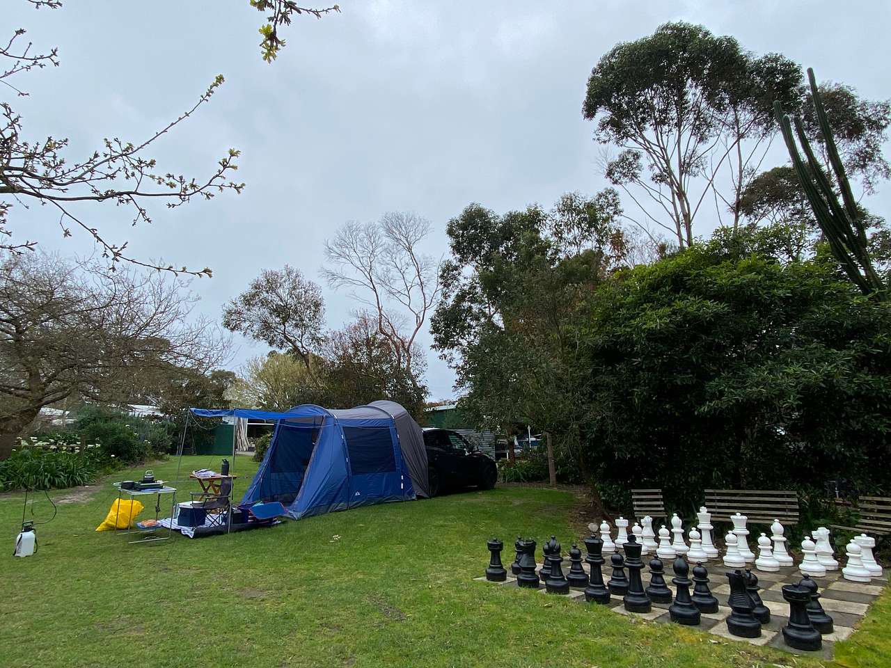 Polly's Paddock
