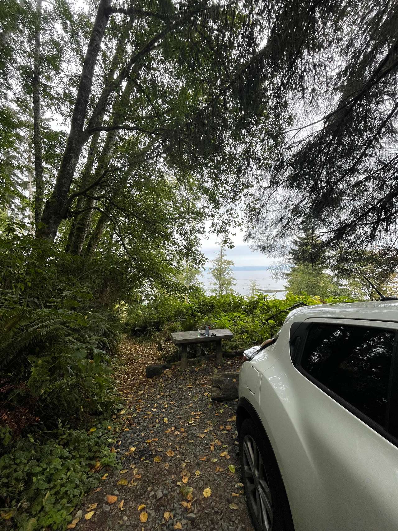 Wooden table with a great view. Tucked behind the car is a log that is great to sit on but is a distance away from the table. If sitting at the table is important bring your own chairs. We loved sitting on the log though ourselves!