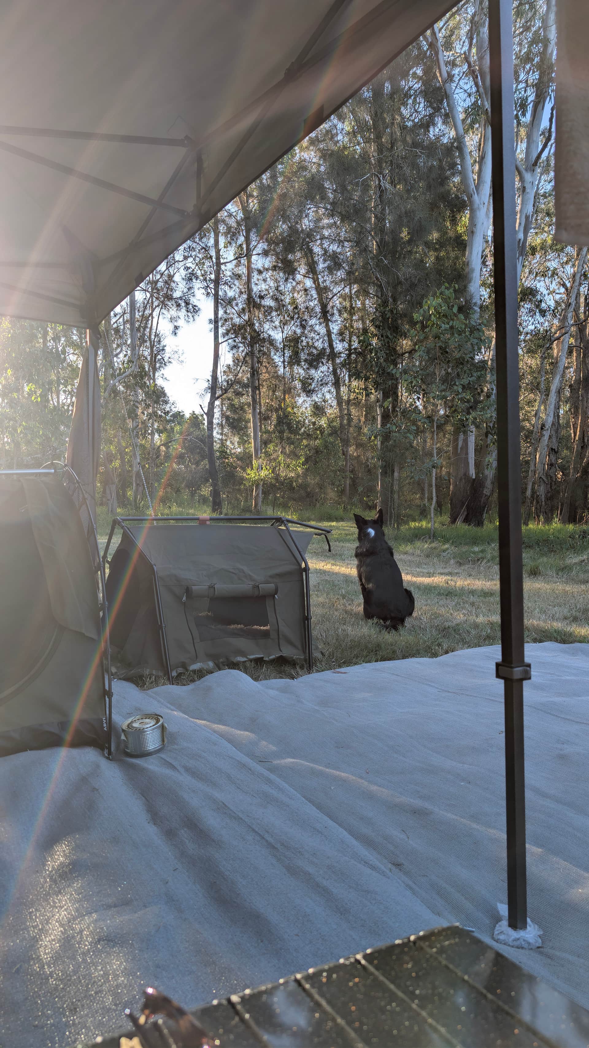 Shark Creek Retreat