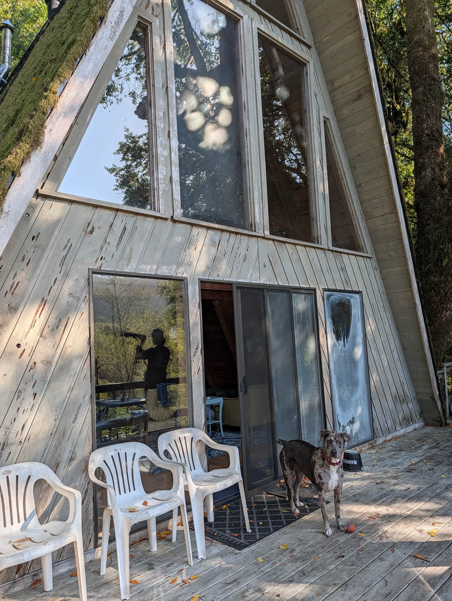 Steelhead Camp on the Chetco River