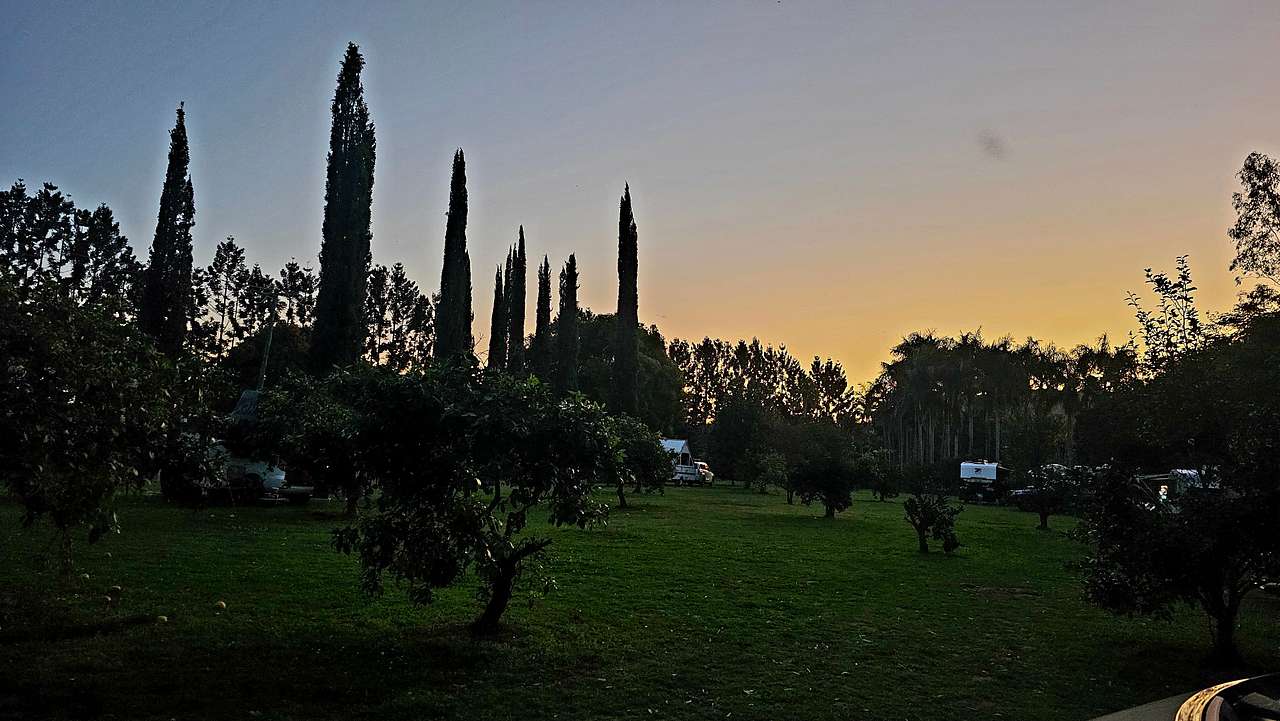 Evening in orchard campground