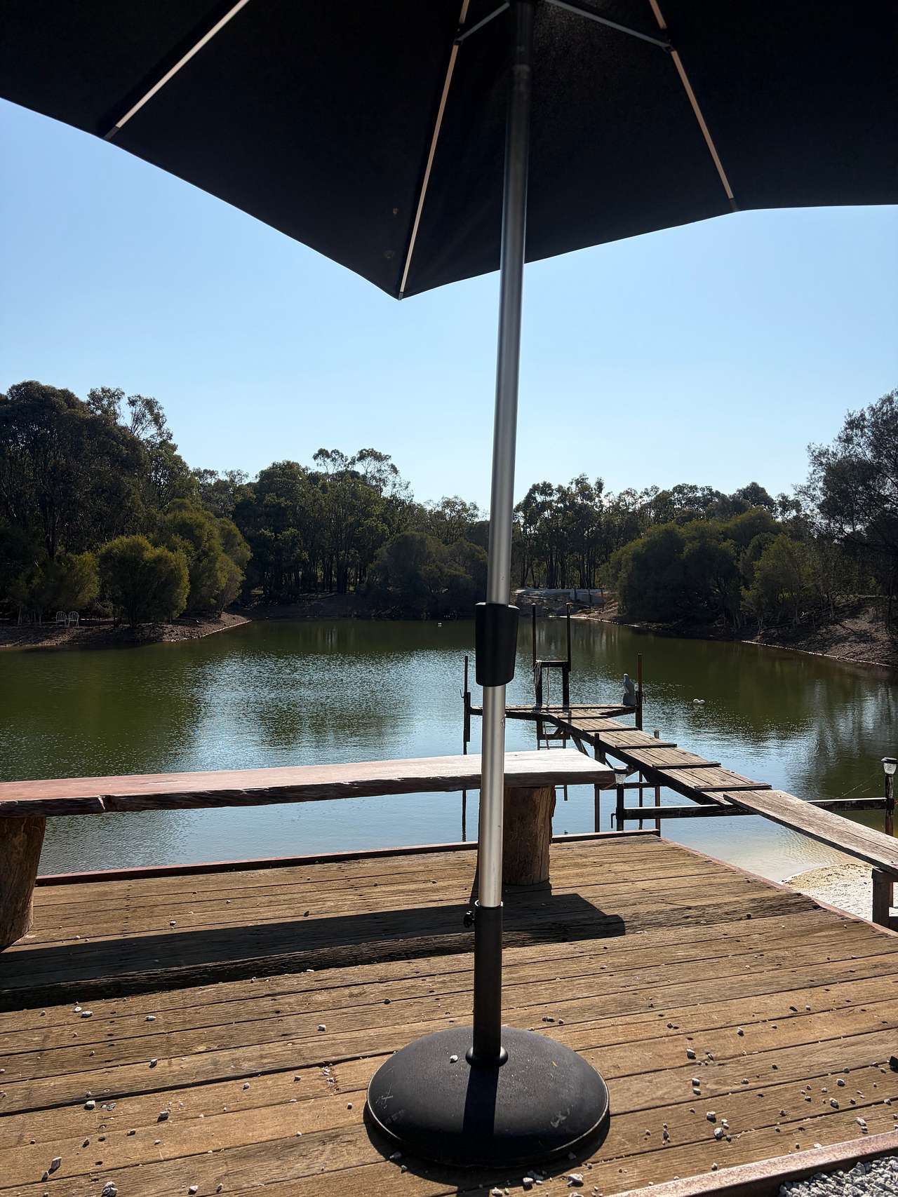 Bungarra Wines